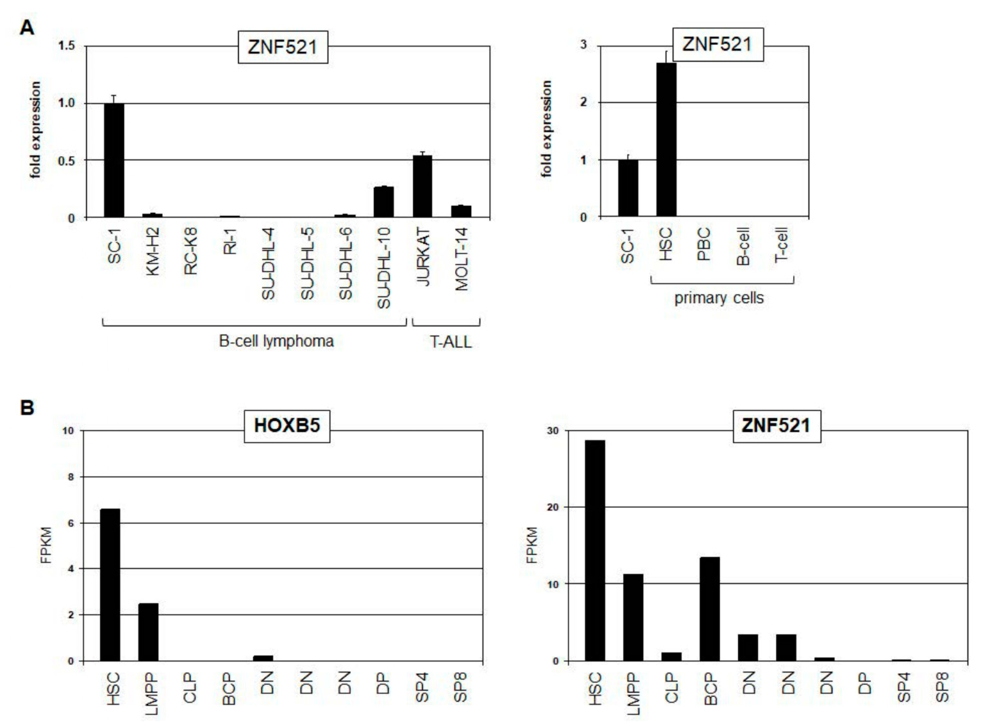 Biomedicines 11 01758 g006a Biomedicines 11 01758 g006a