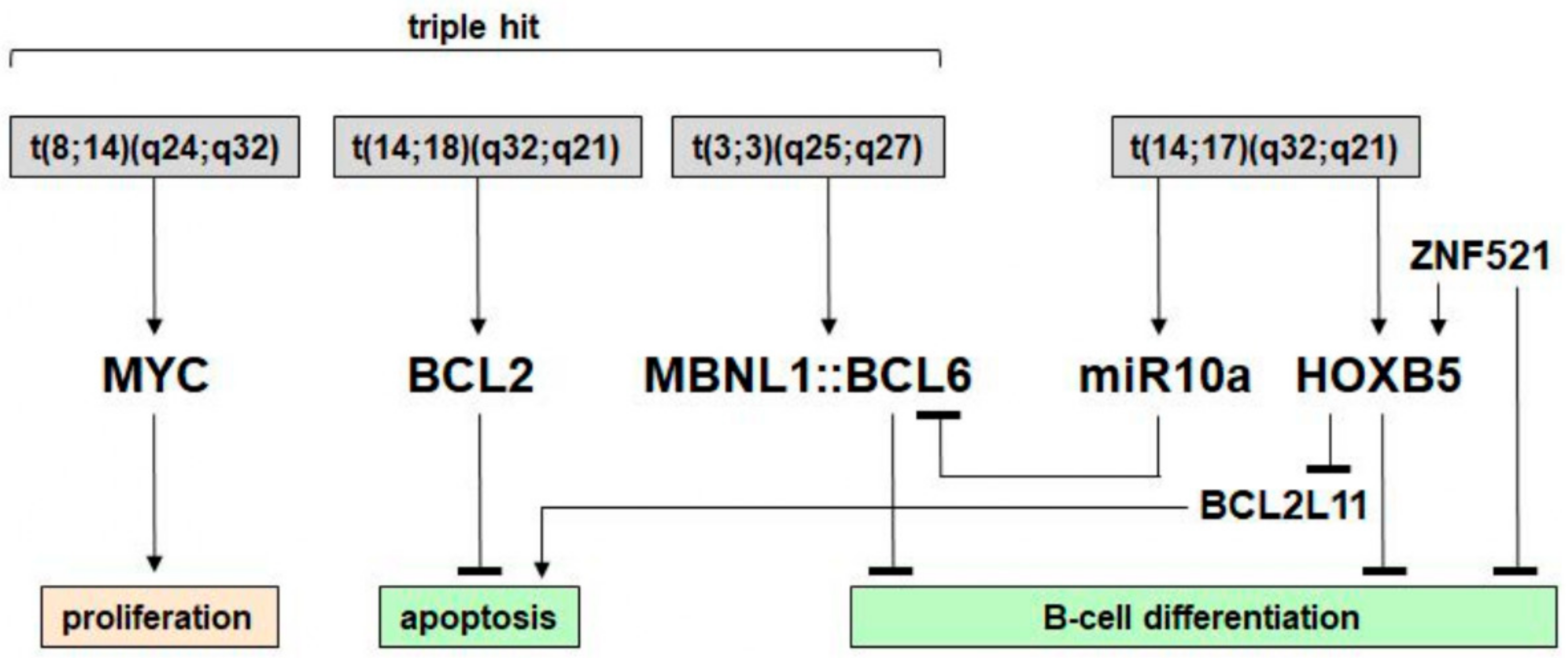 Biomedicines 11 01758 g007 Biomedicines 11 01758 g007