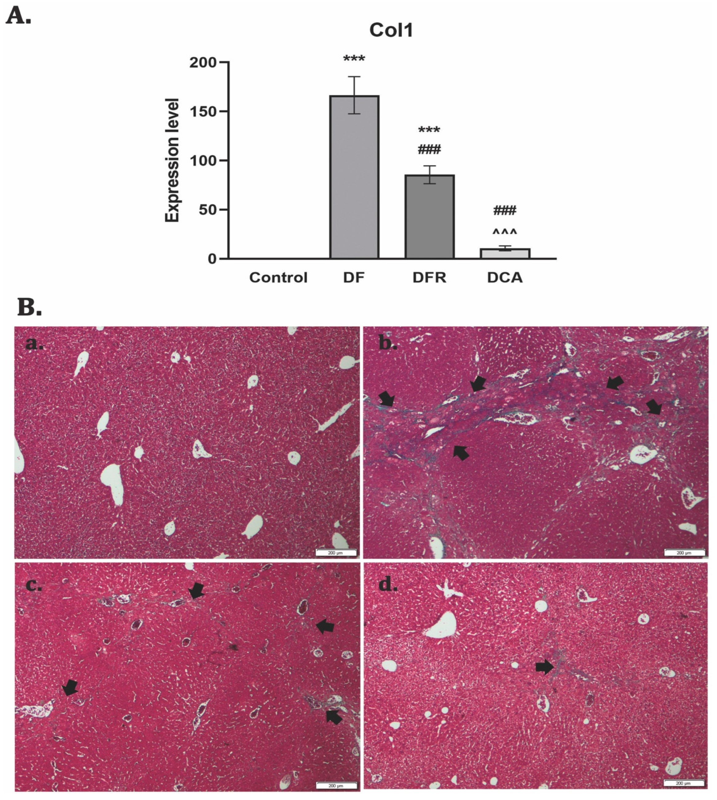Biomedicines 11 01771 g002