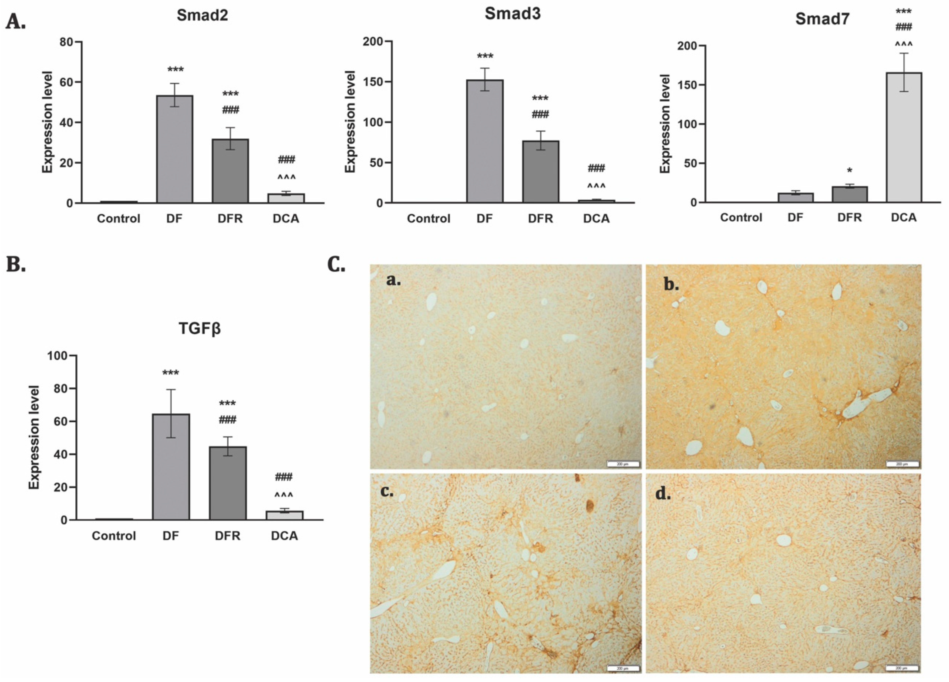 Biomedicines 11 01771 g004