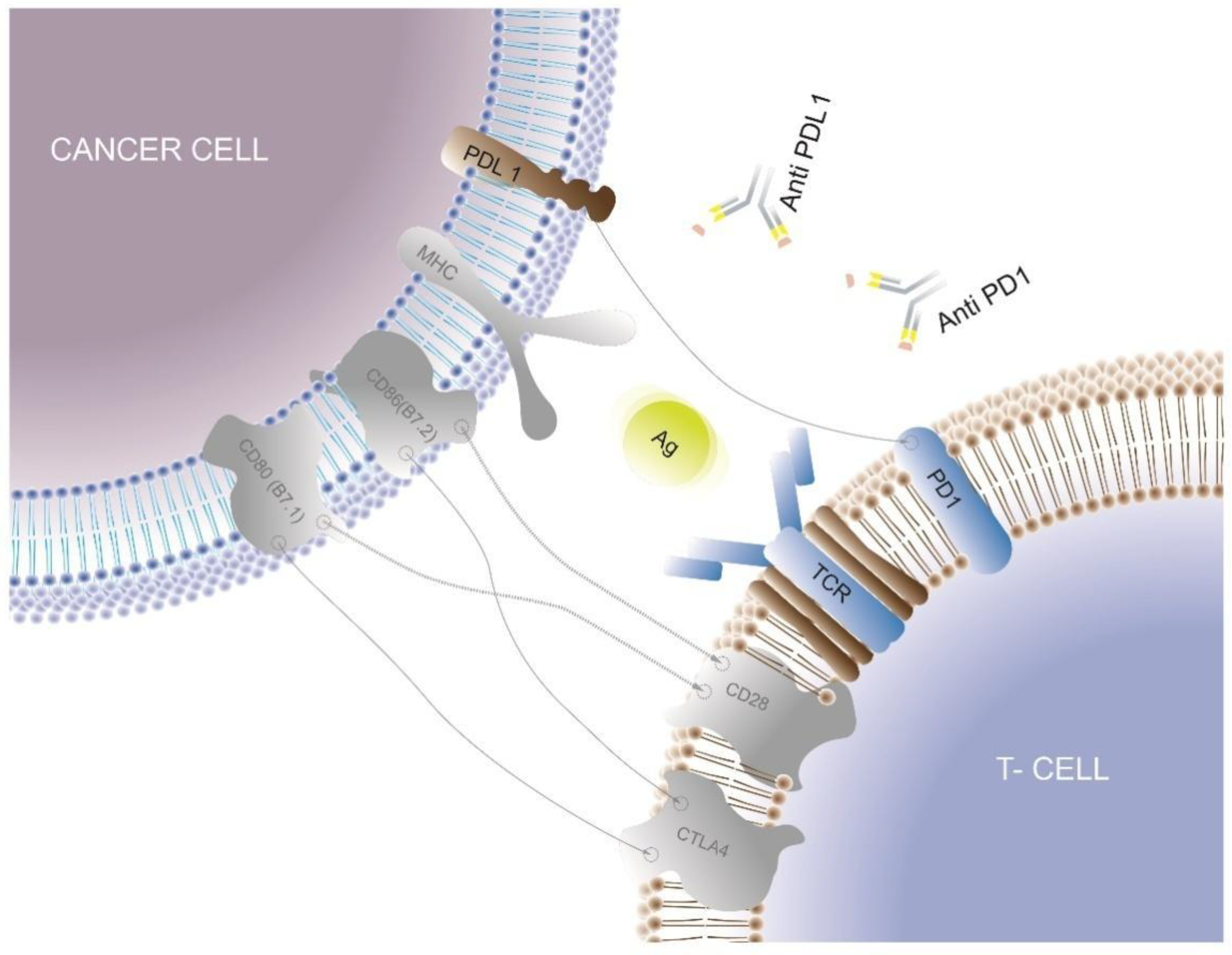 Biomedicines 11 01772 g002 Biomedicines 11 01772 g002