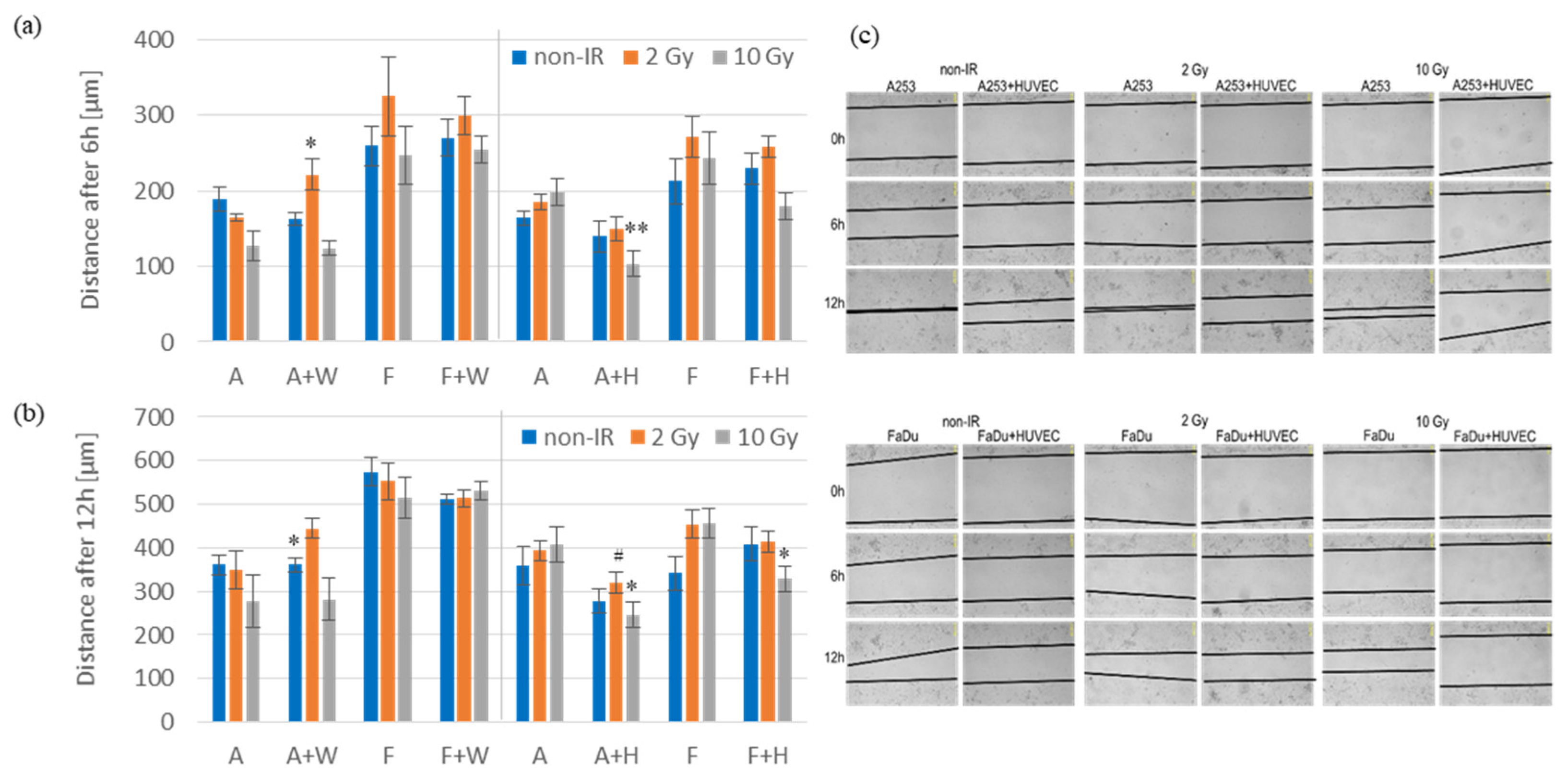 Biomedicines 11 01773 g003