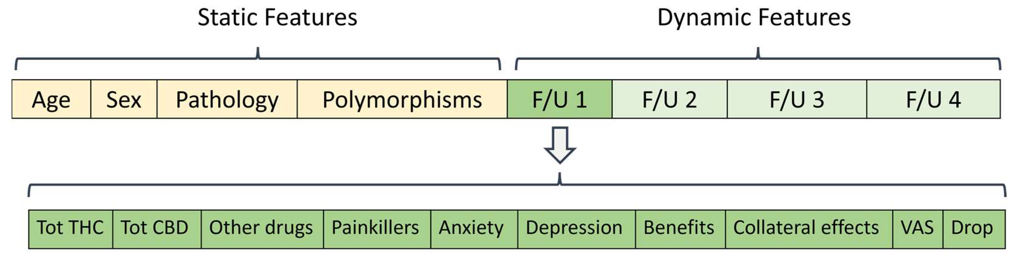 Biomedicines 11 01776 g001 Biomedicines 11 01776 g001