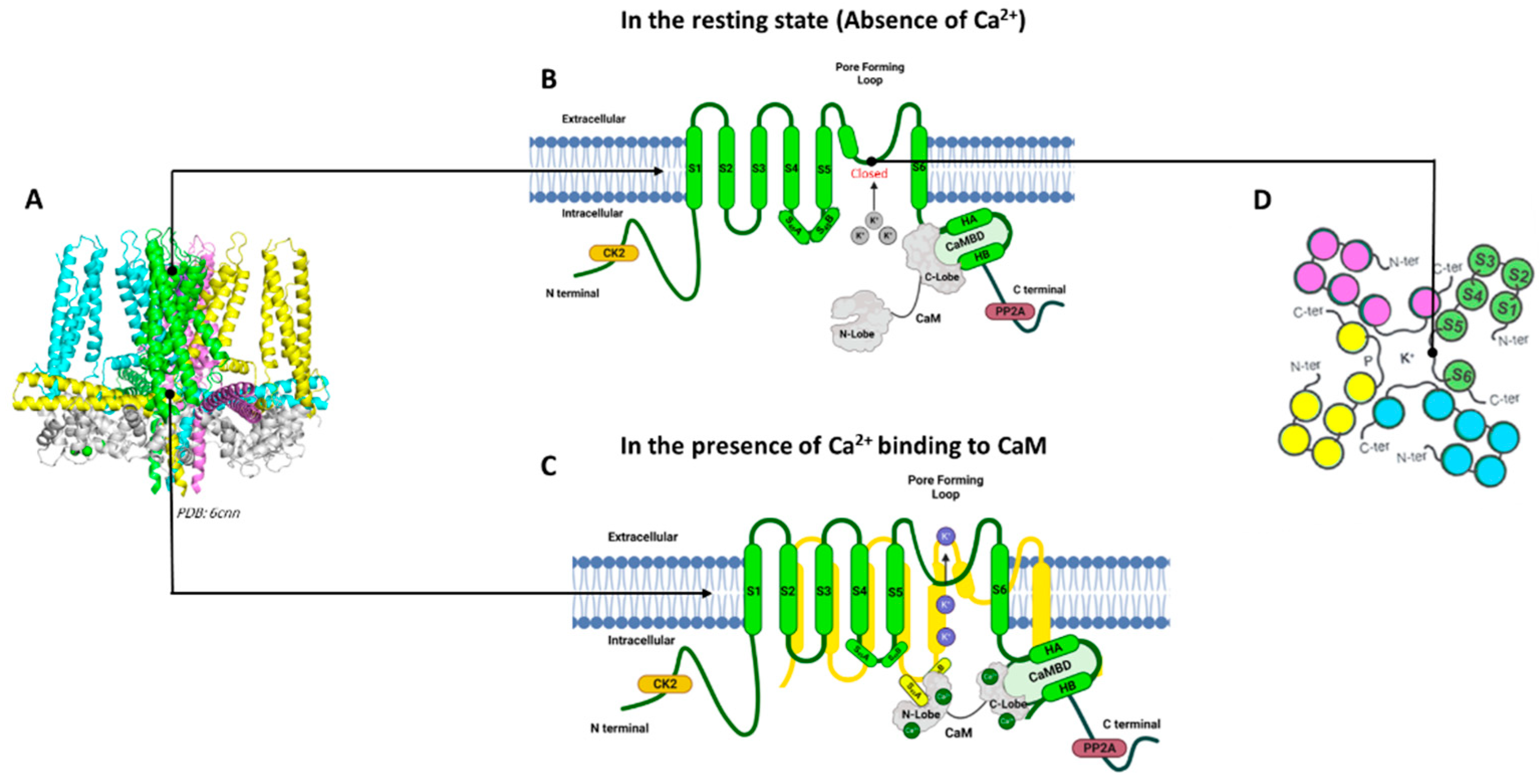 Biomedicines 11 01780 g001 Biomedicines 11 01780 g001