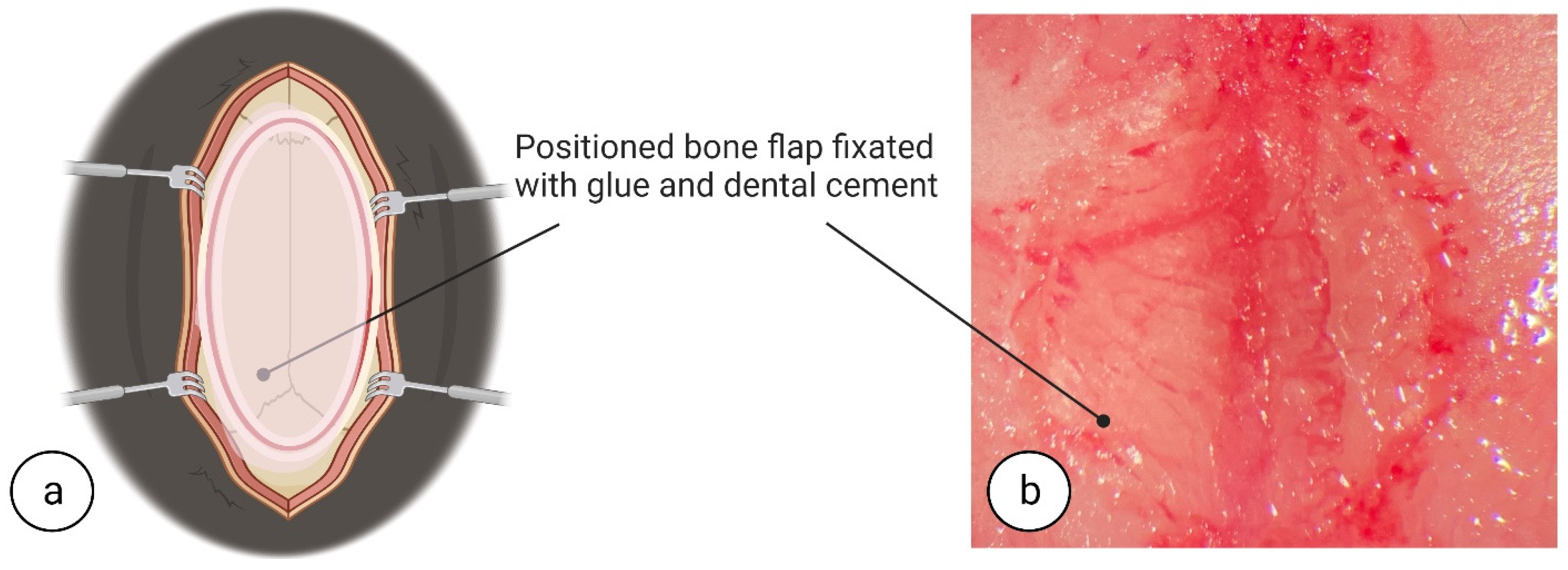 Biomedicines 11 01782 g008