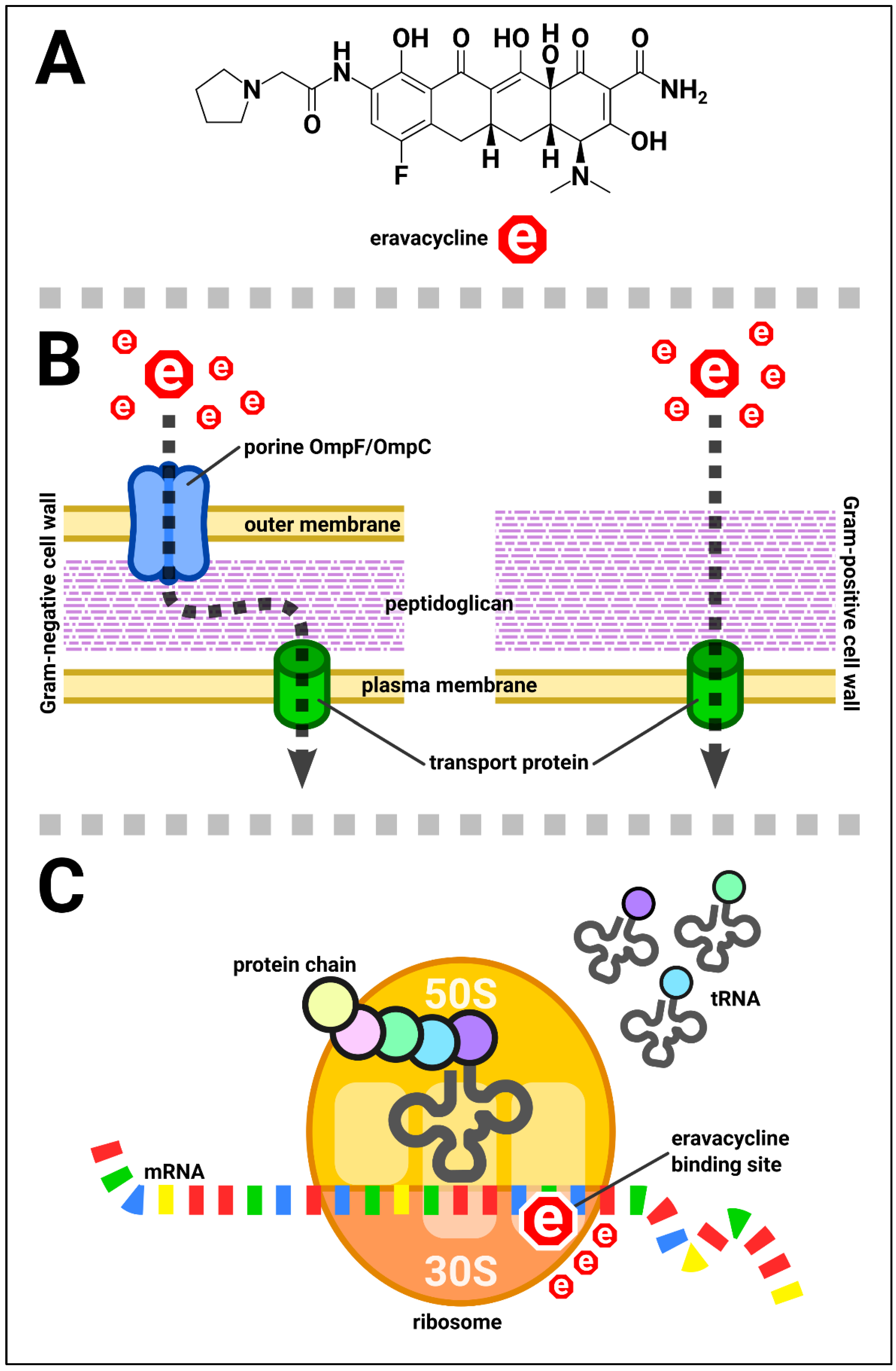 Biomedicines 11 01784 g001 Biomedicines 11 01784 g001