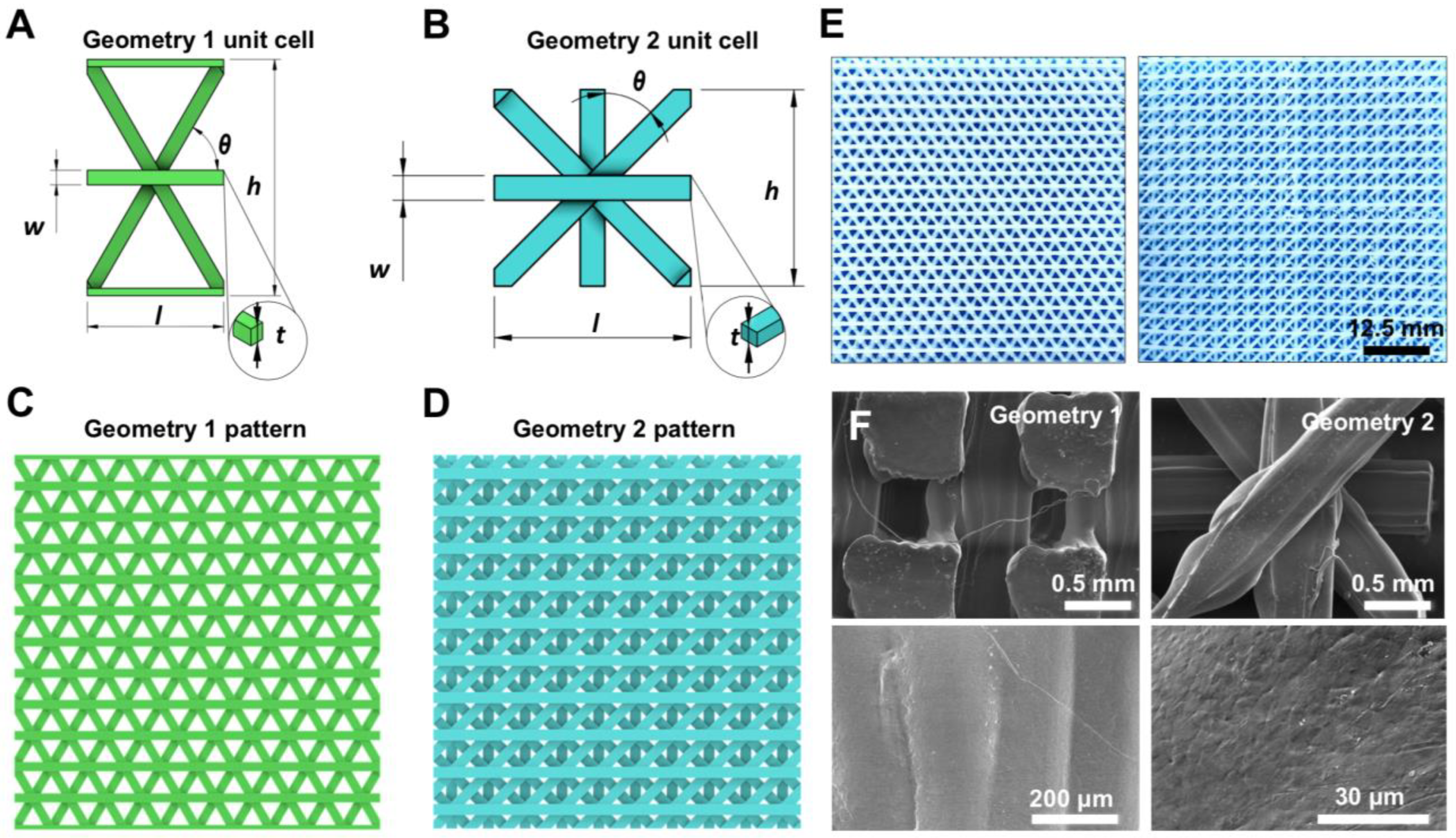 Biomedicines 11 01787 g002