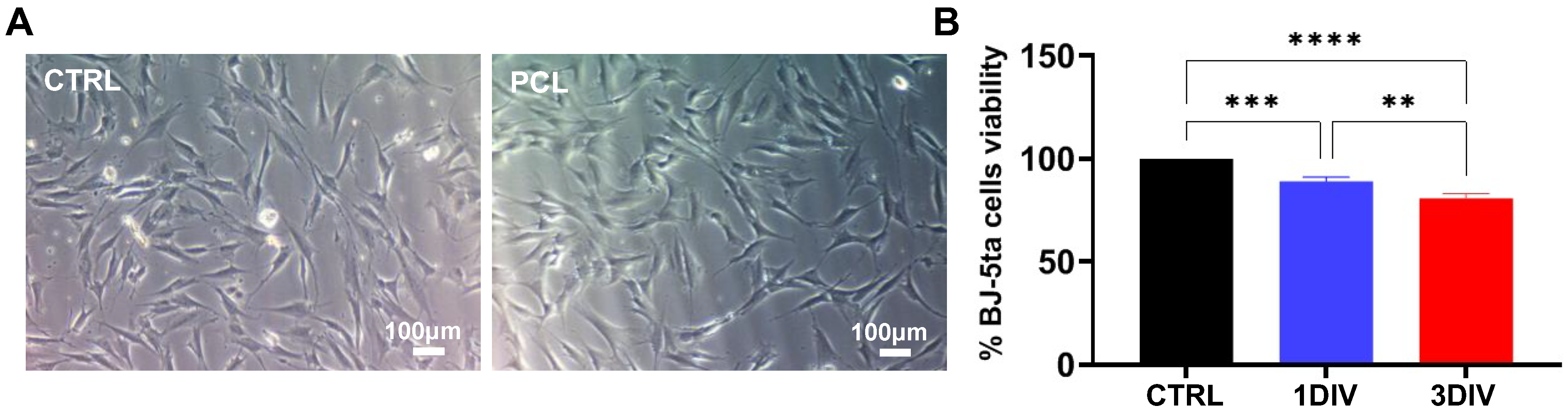 Biomedicines 11 01787 g003