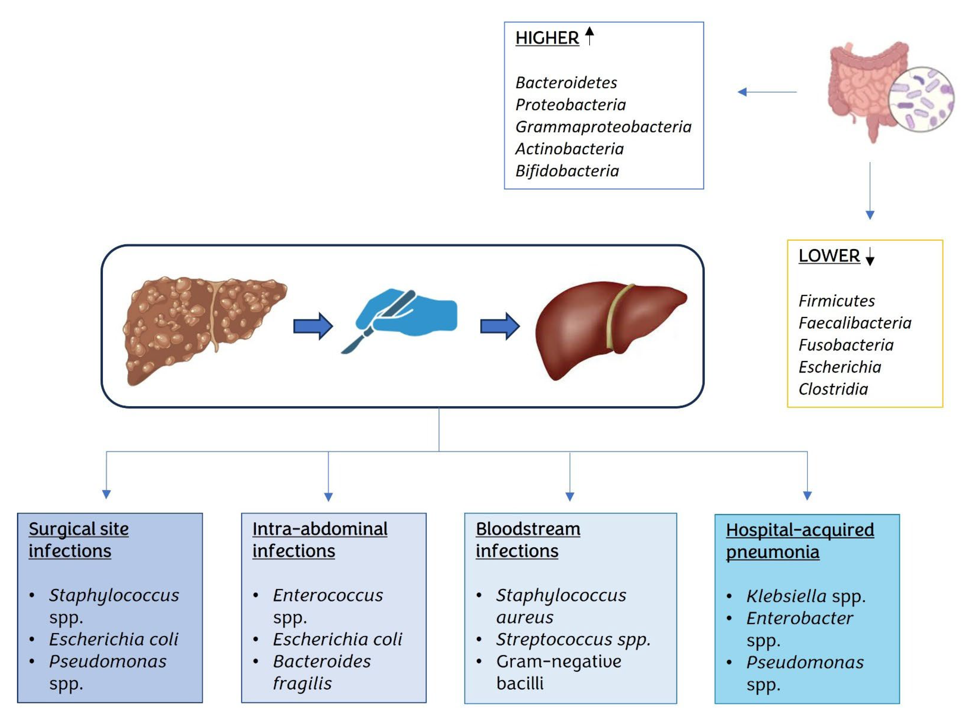 Biomedicines 11 01792 g002 Biomedicines 11 01792 g002