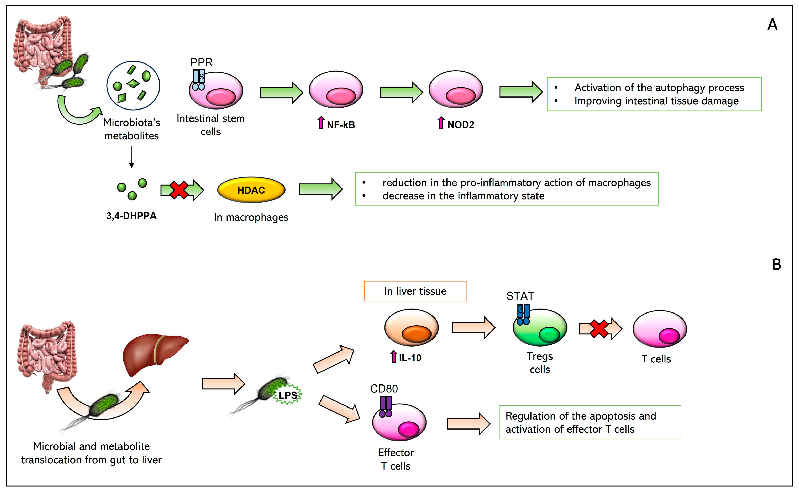Biomedicines 11 01792 g004 Biomedicines 11 01792 g004
