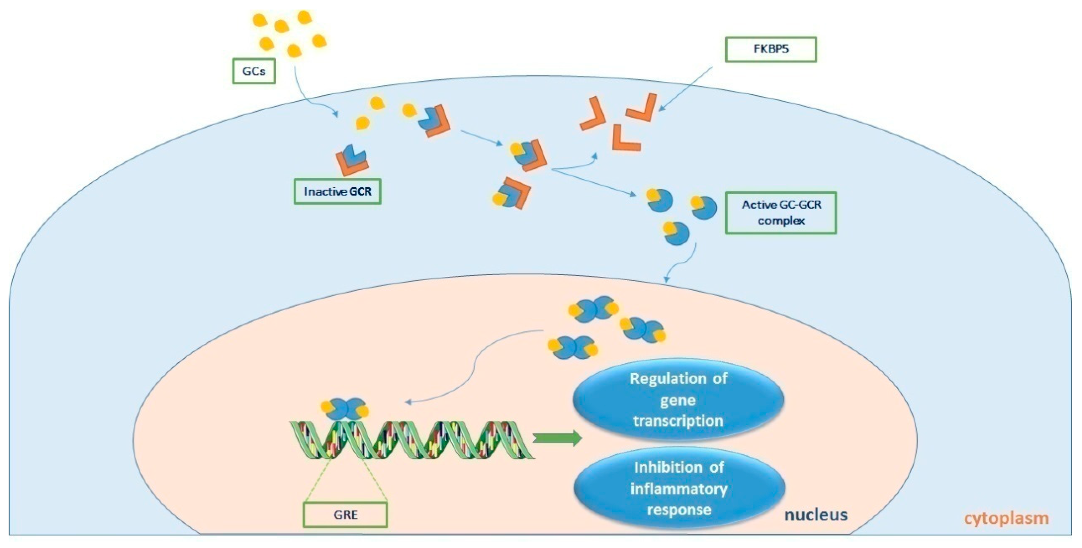 Biomedicines 11 01801 g002