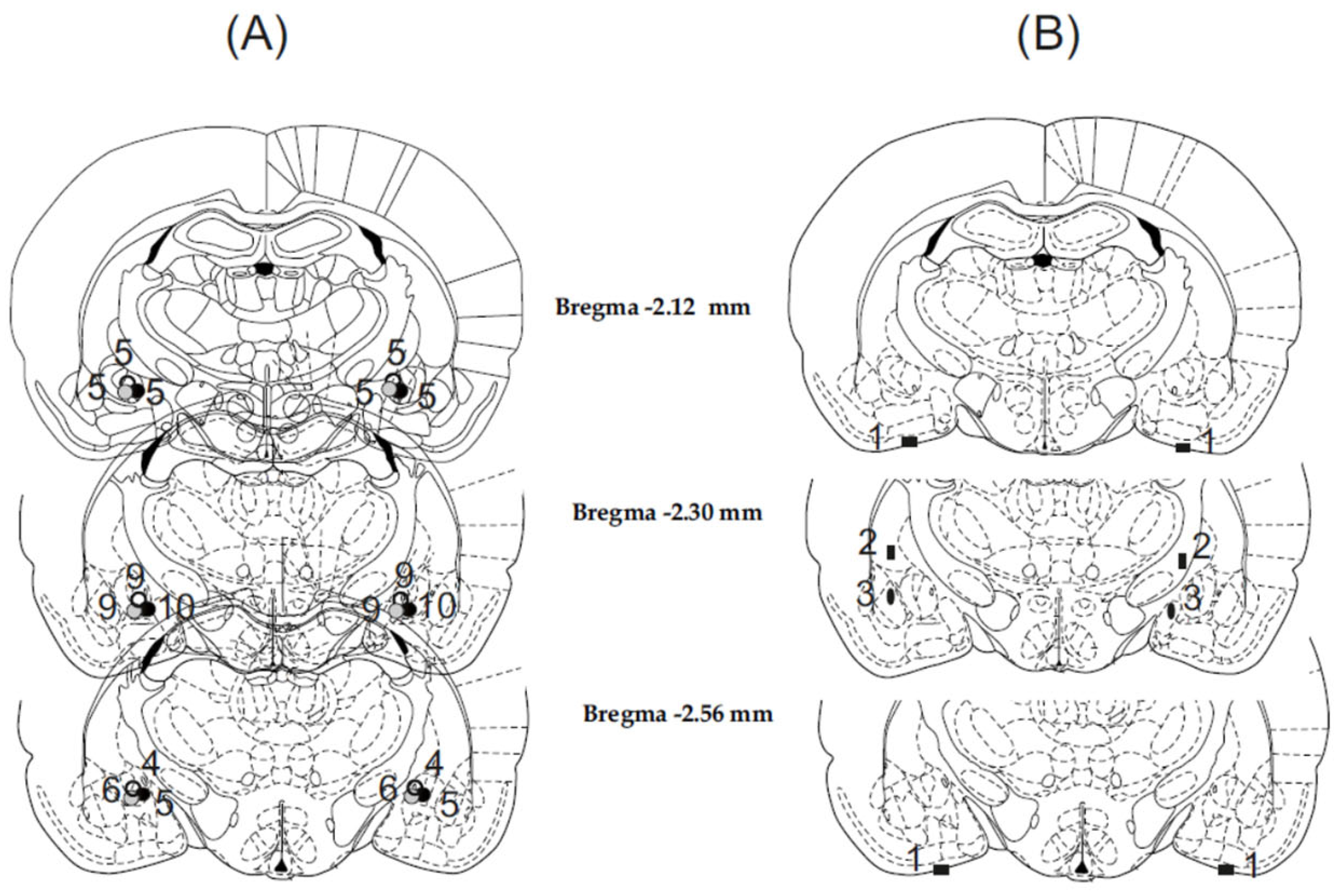 Biomedicines 11 01802 g002 Biomedicines 11 01802 g002