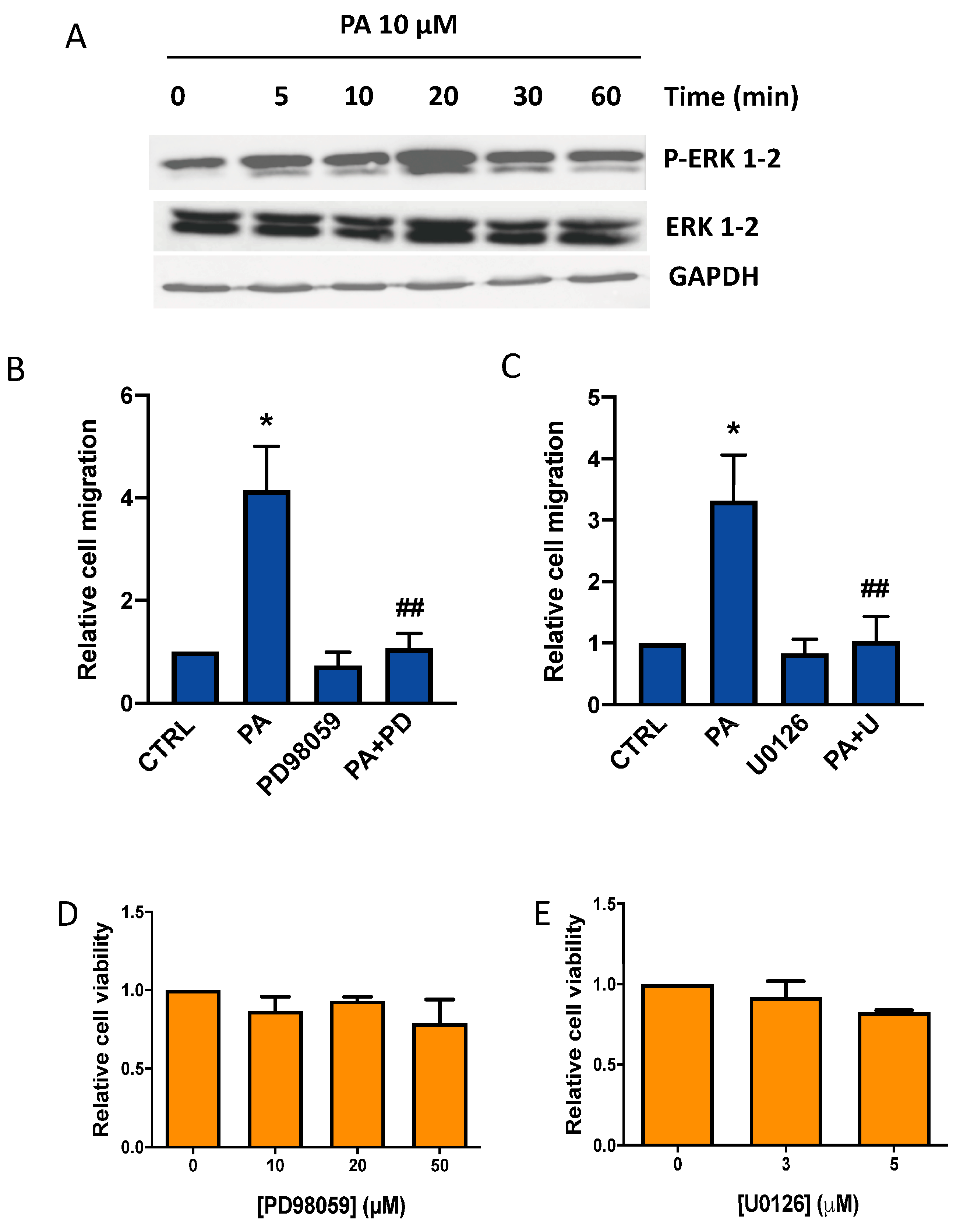 Biomedicines 11 01804 g003