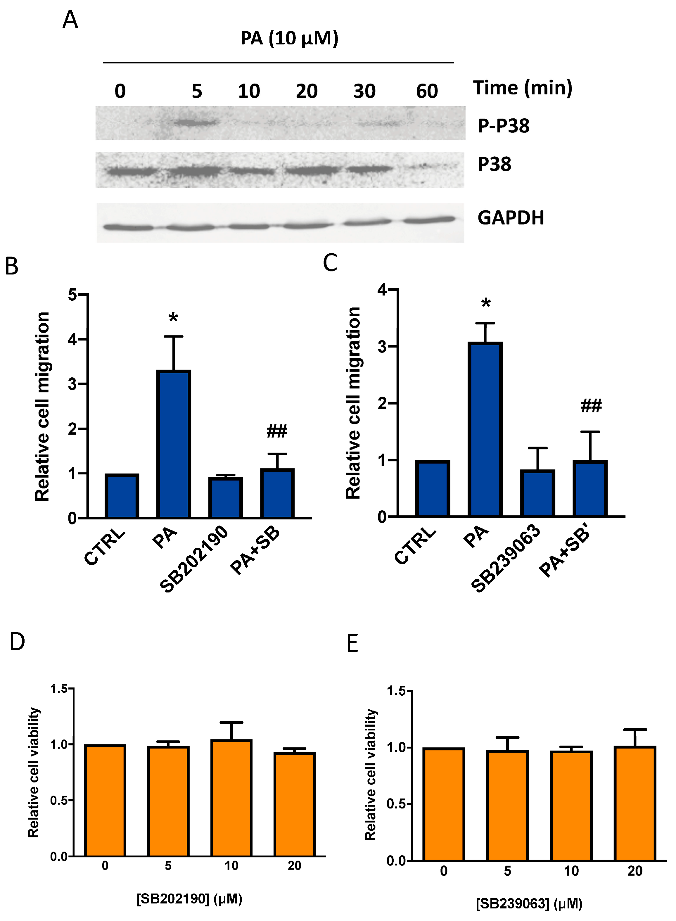 Biomedicines 11 01804 g004