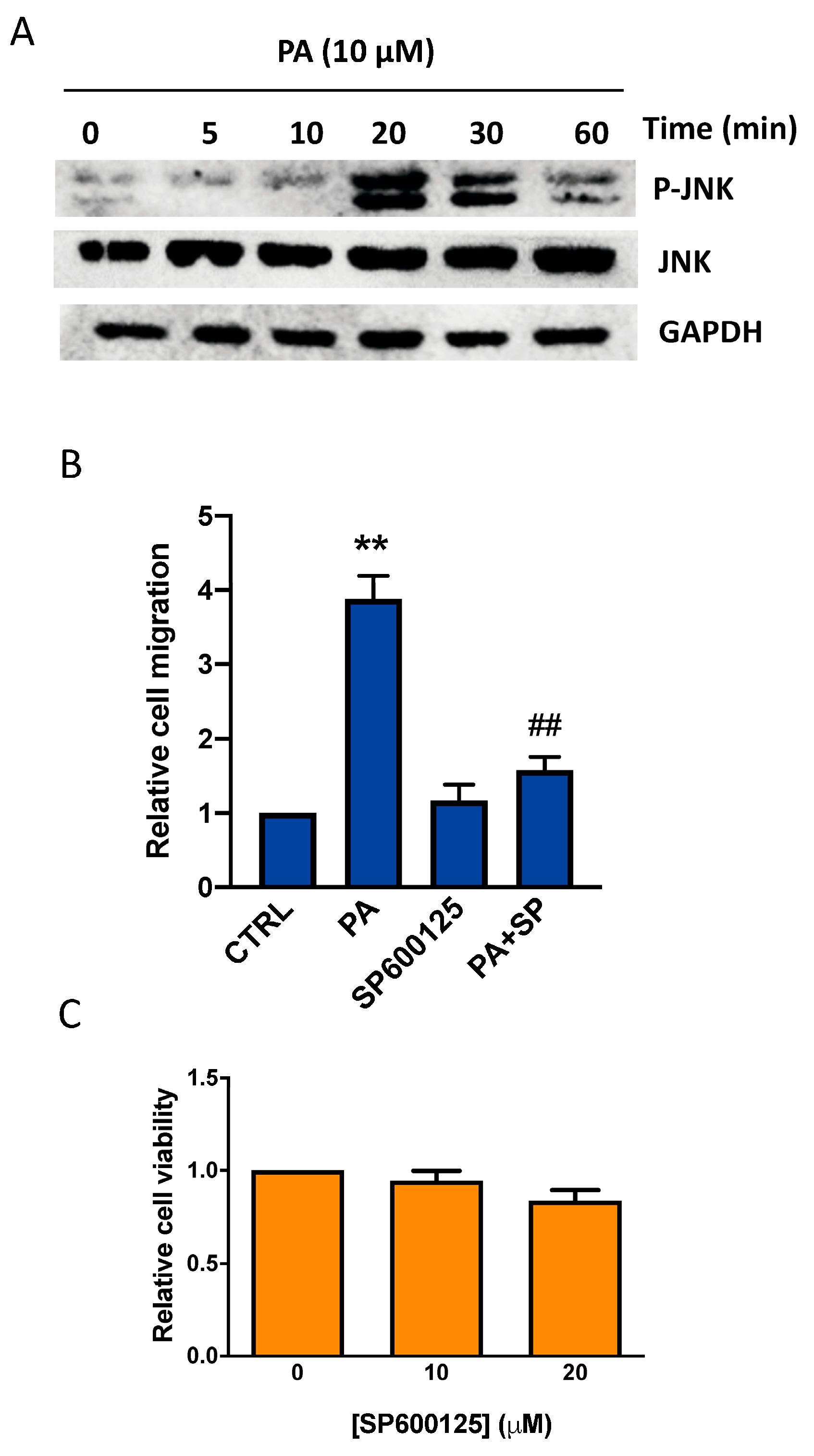 Biomedicines 11 01804 g005