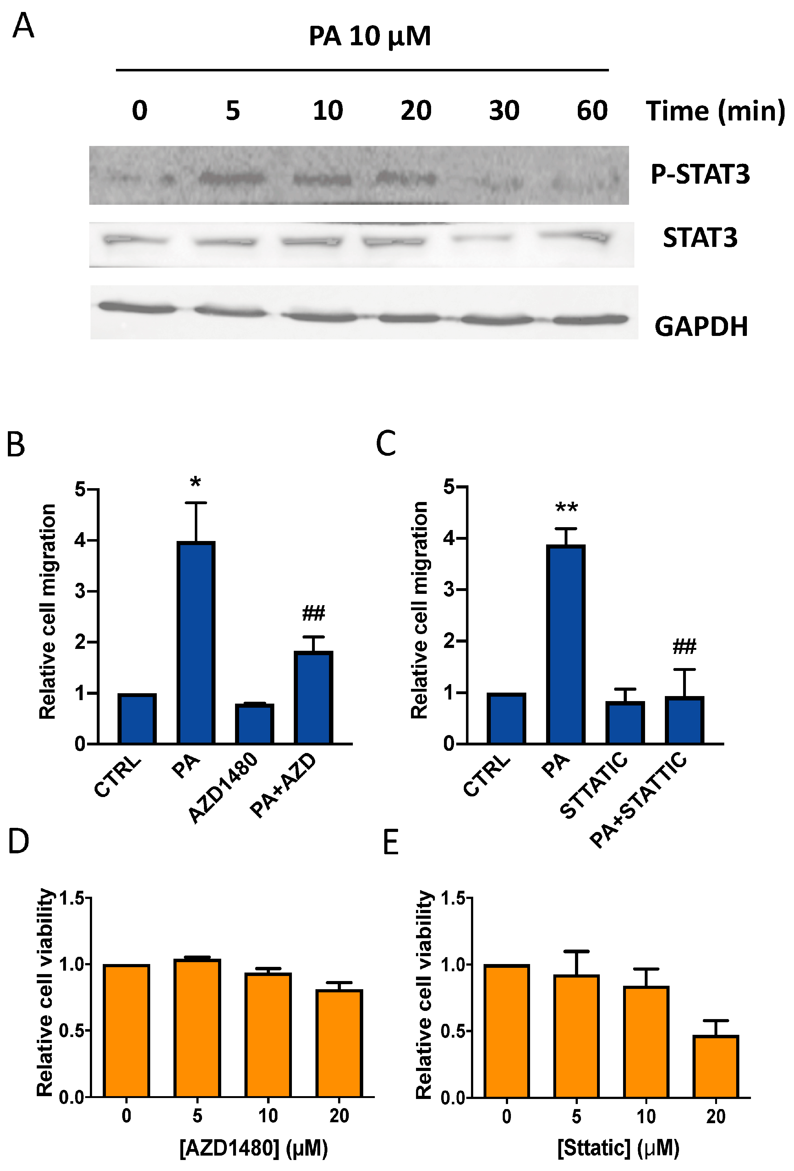 Biomedicines 11 01804 g009