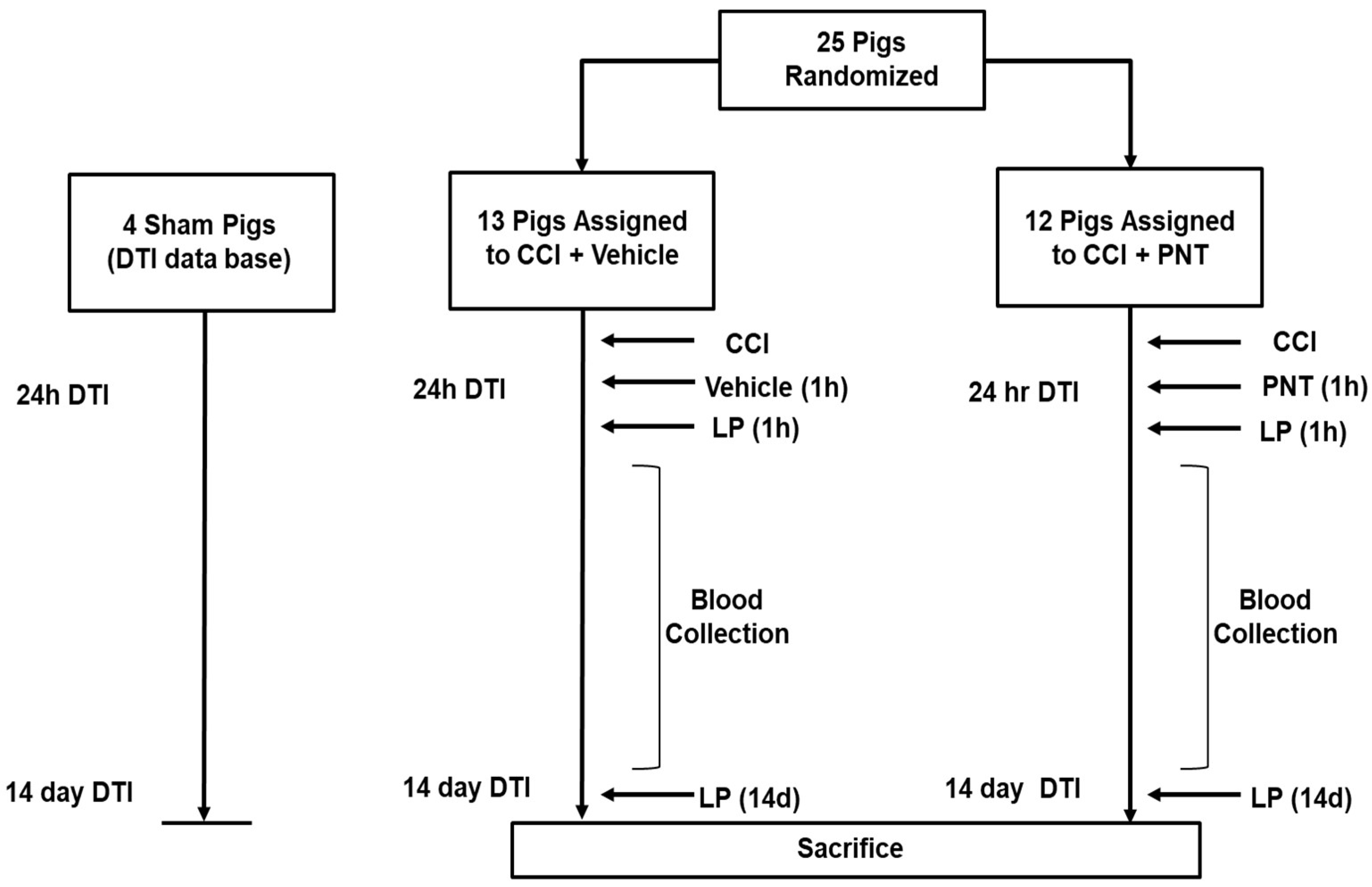 Biomedicines 11 01807 g001