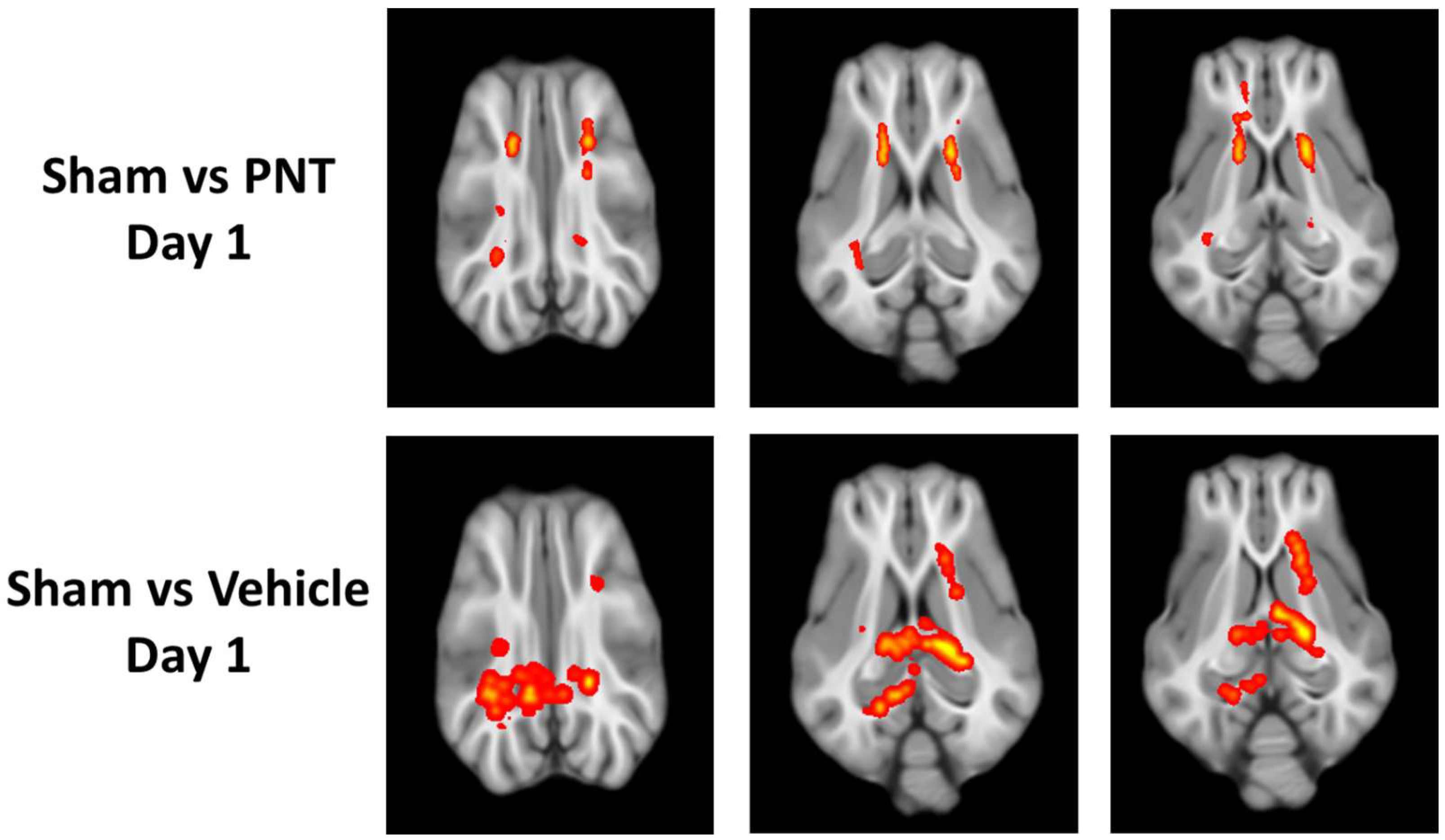 Biomedicines 11 01807 g002