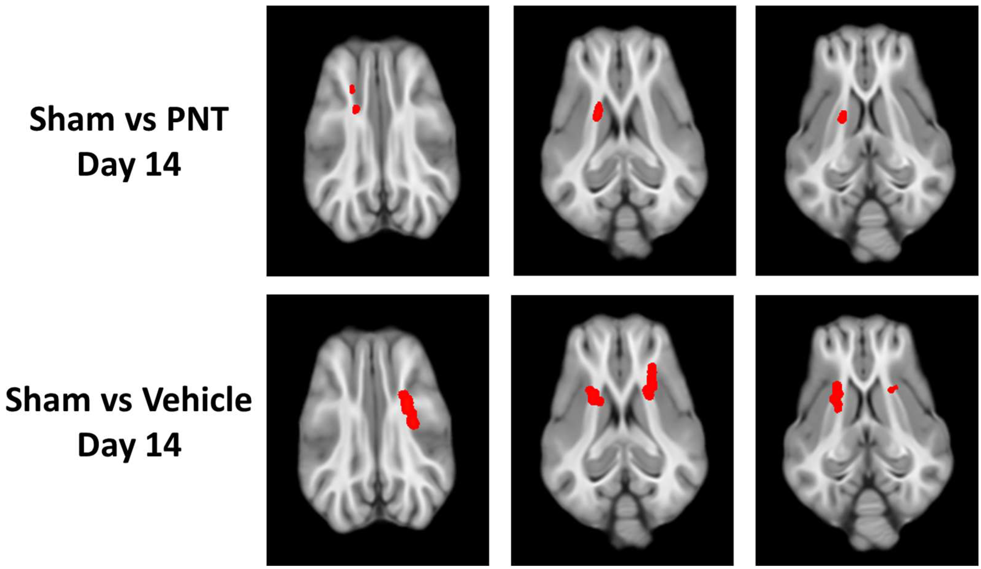 Biomedicines 11 01807 g004