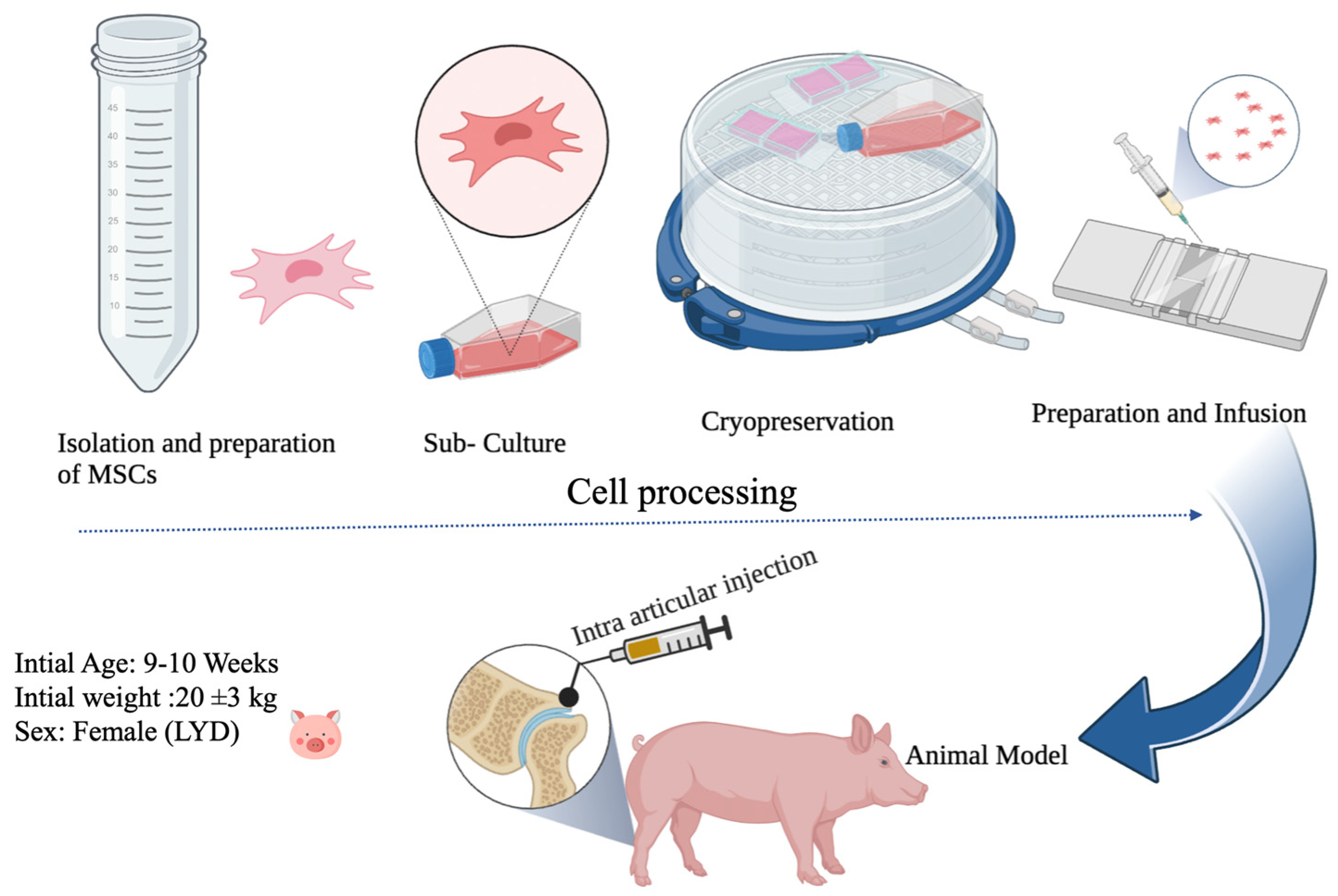 Biomedicines 11 01810 g001 Biomedicines 11 01810 g001