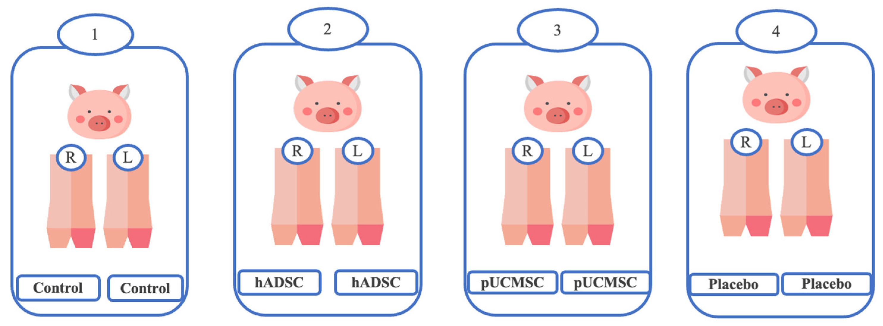 Biomedicines 11 01810 g002 Biomedicines 11 01810 g002