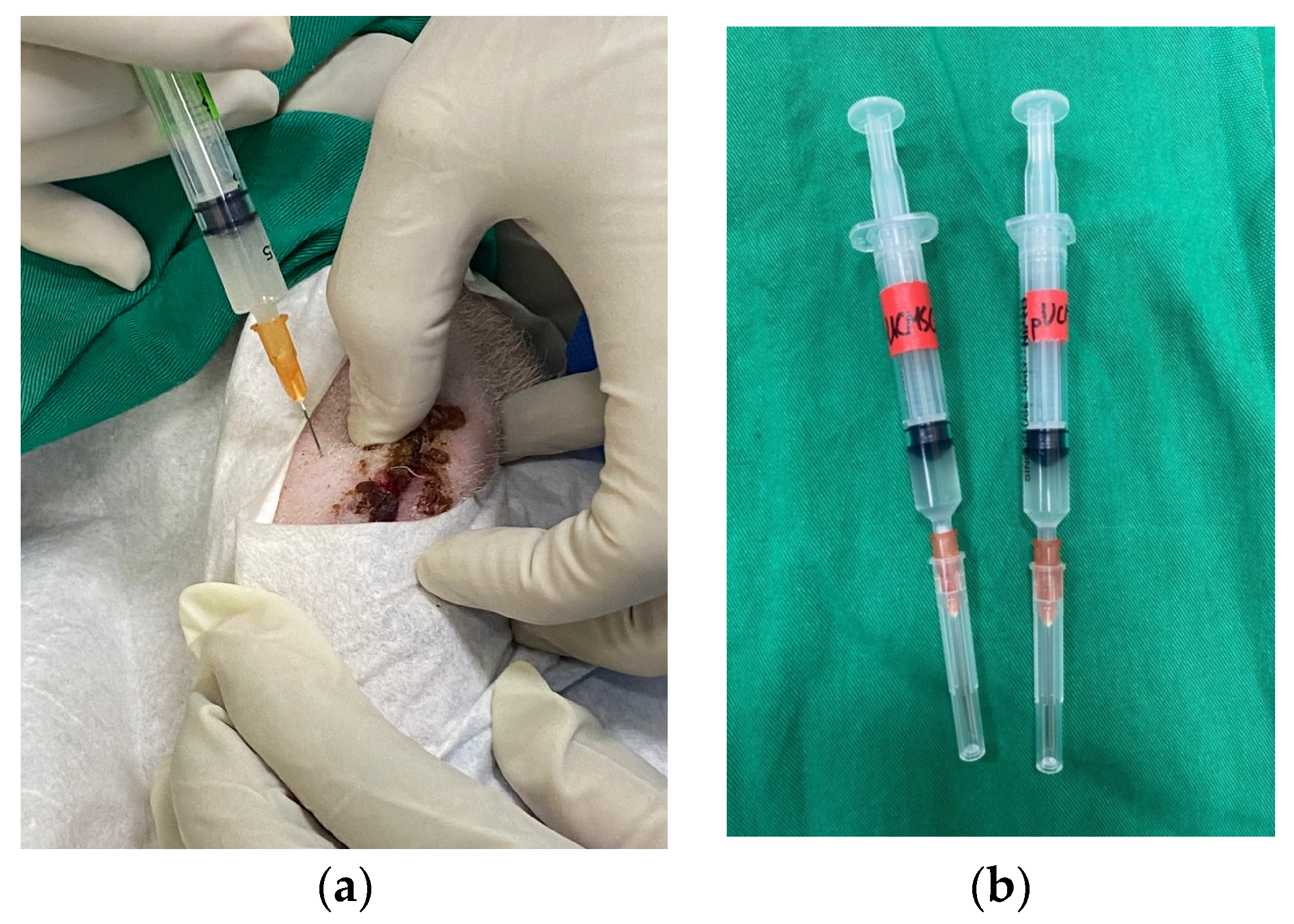 Biomedicines 11 01810 g004 Biomedicines 11 01810 g004