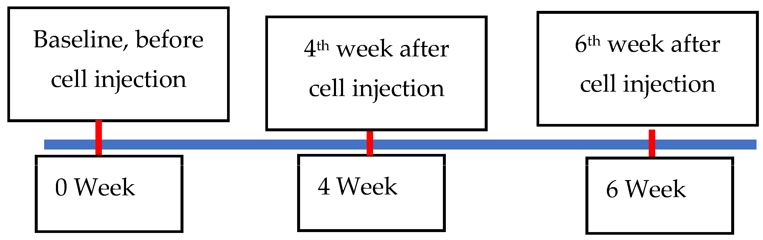 Biomedicines 11 01810 g006 Biomedicines 11 01810 g006