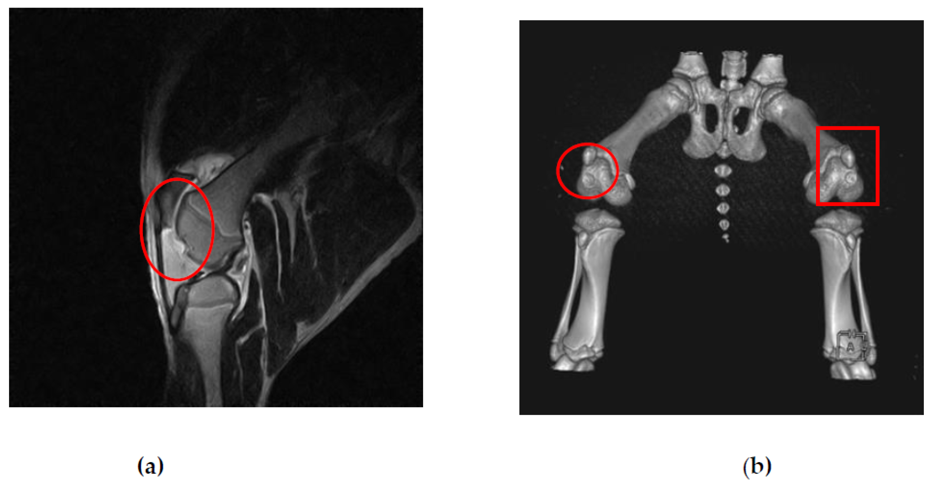Biomedicines 11 01810 g007 Biomedicines 11 01810 g007