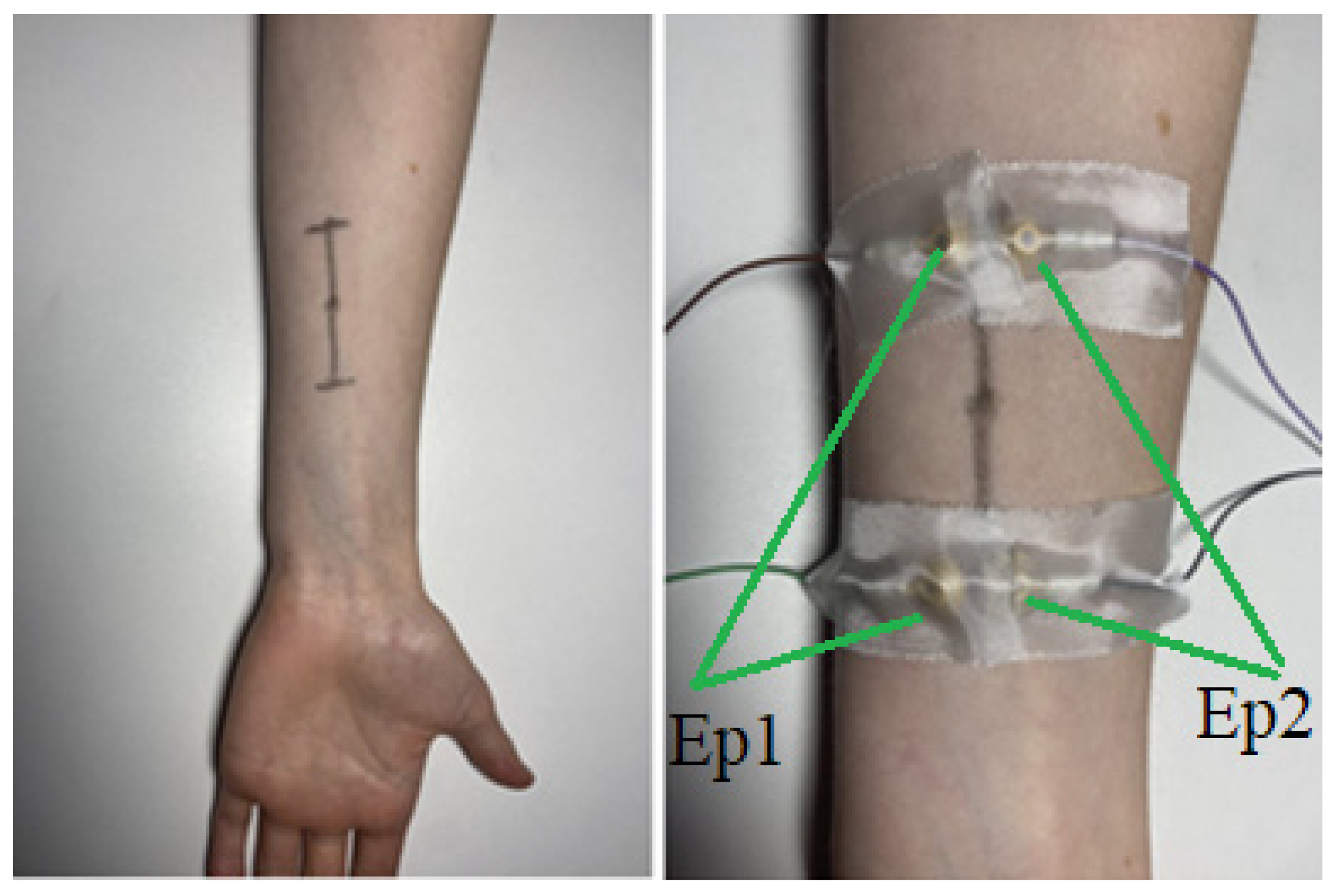Biomedicines 11 01813 g001