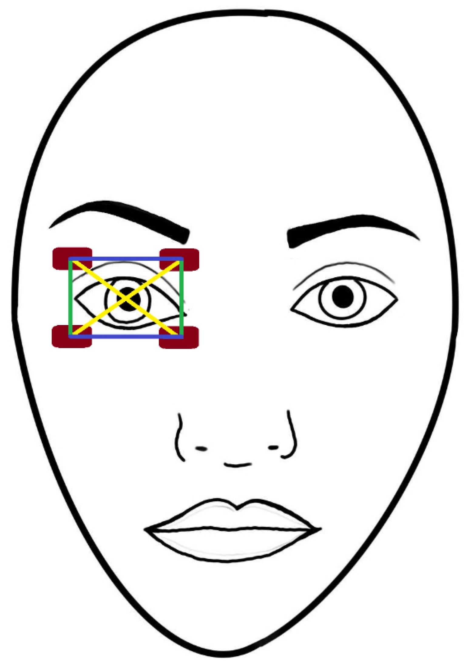 Biomedicines 11 01813 g003