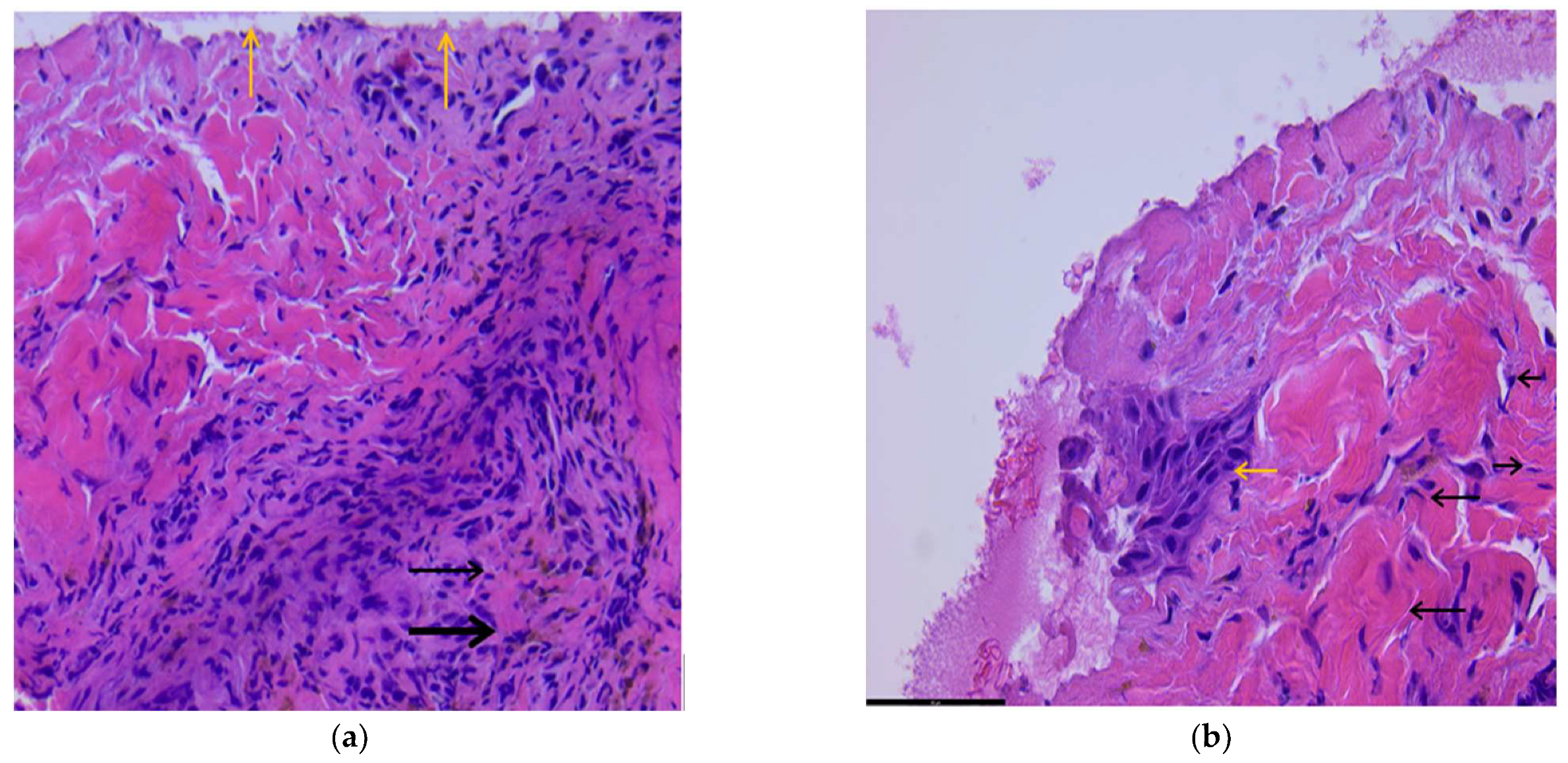 Biomedicines 11 01815 g001