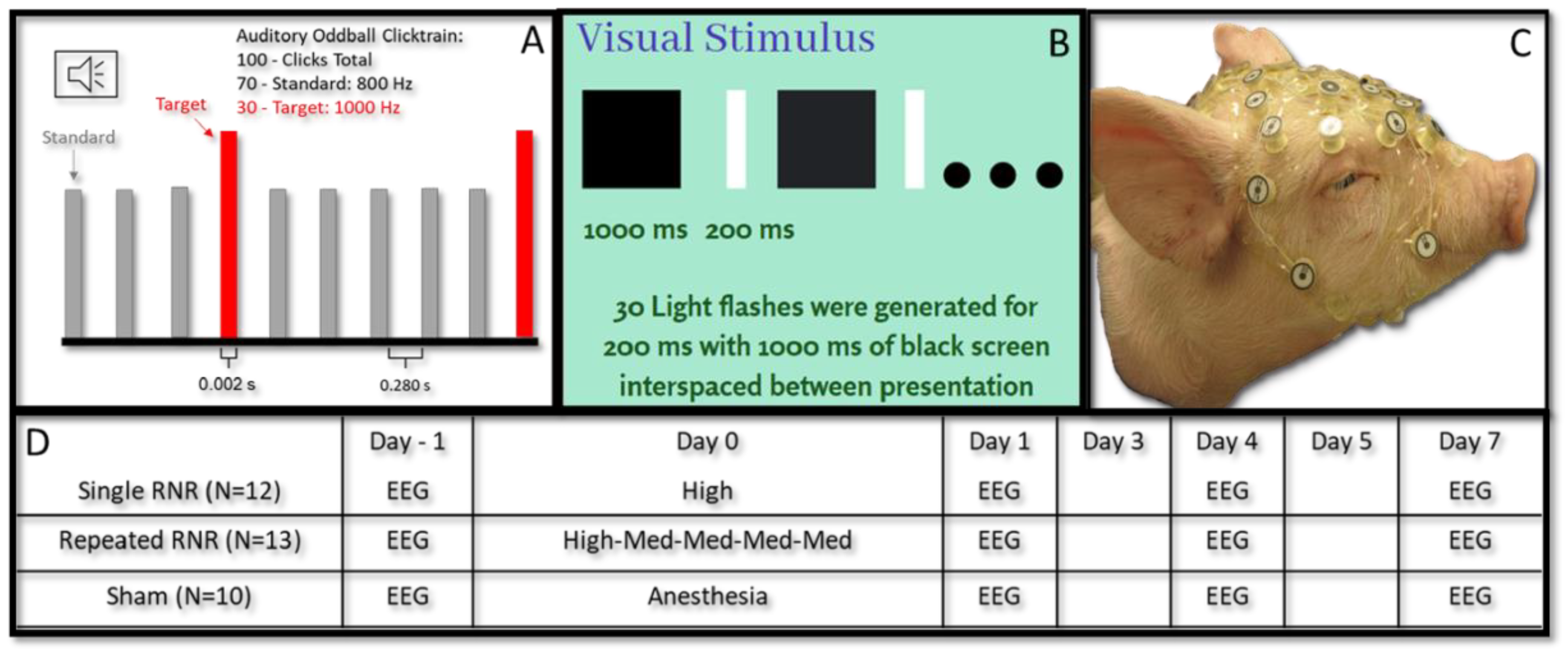 Biomedicines 11 01816 g001 Biomedicines 11 01816 g001