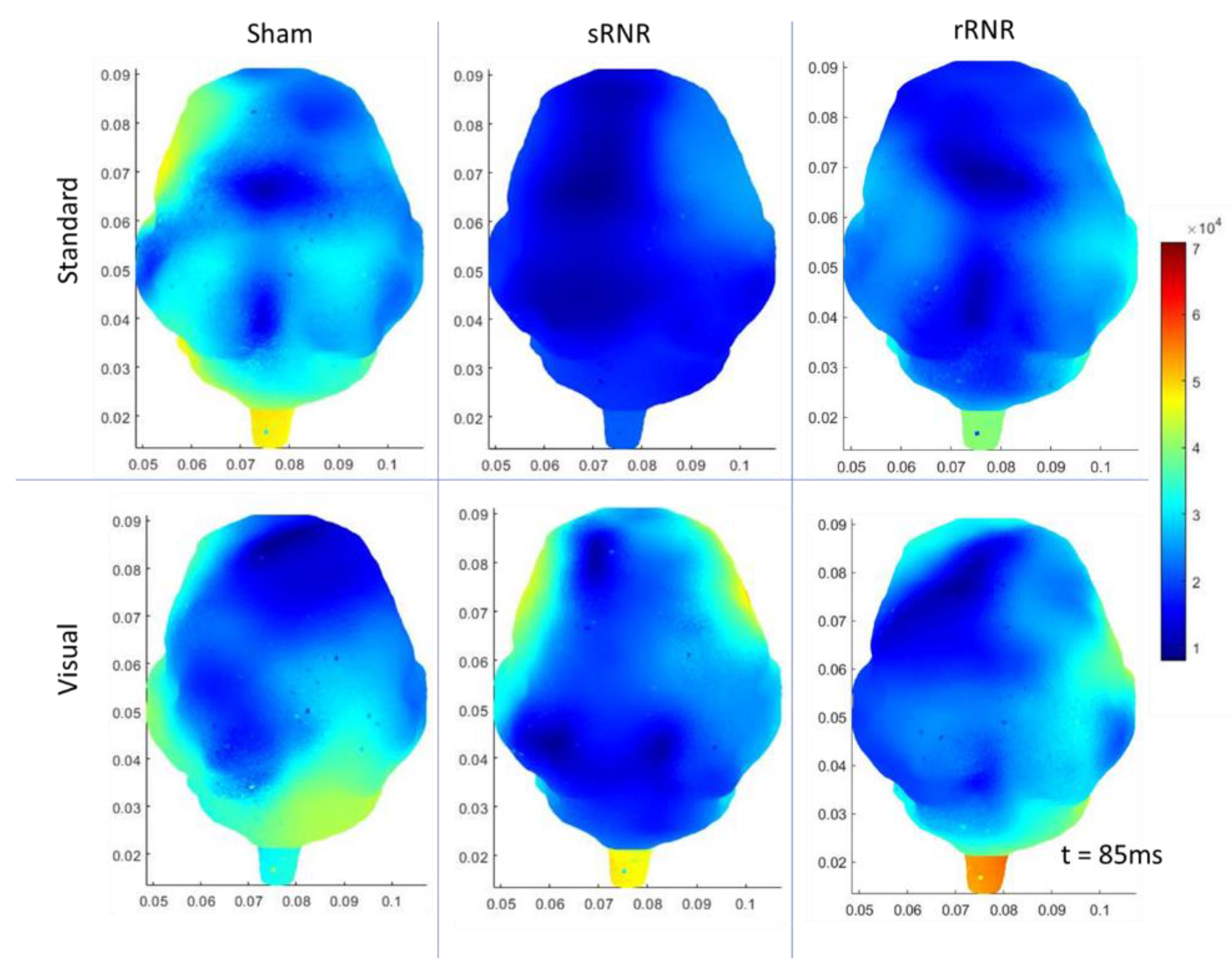 Biomedicines 11 01816 g002 Biomedicines 11 01816 g002