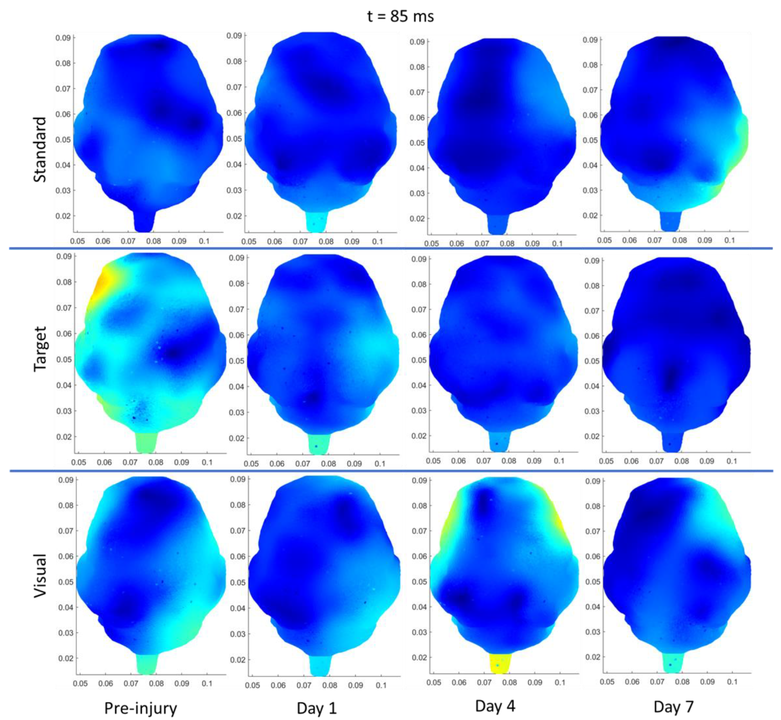 Biomedicines 11 01816 g006 Biomedicines 11 01816 g006