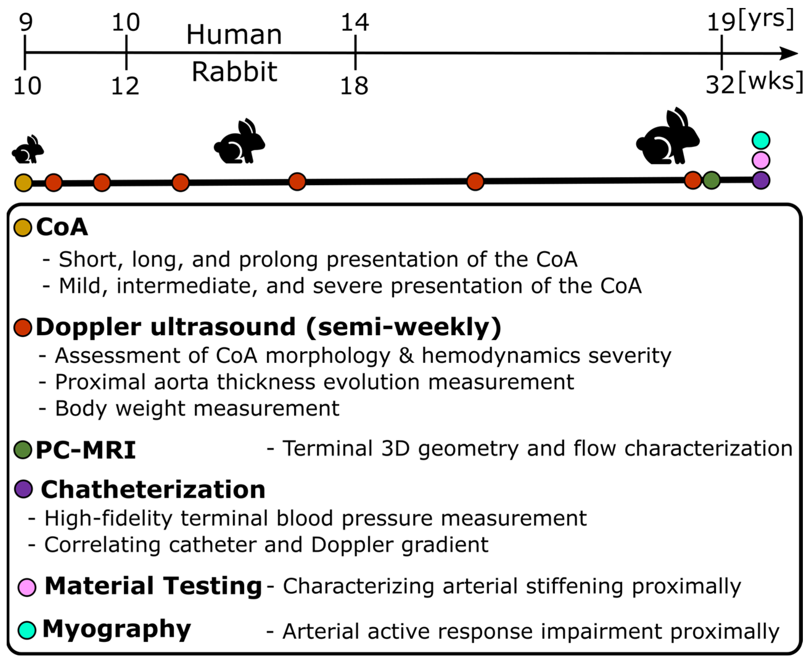 Biomedicines 11 01817 g001 Biomedicines 11 01817 g001