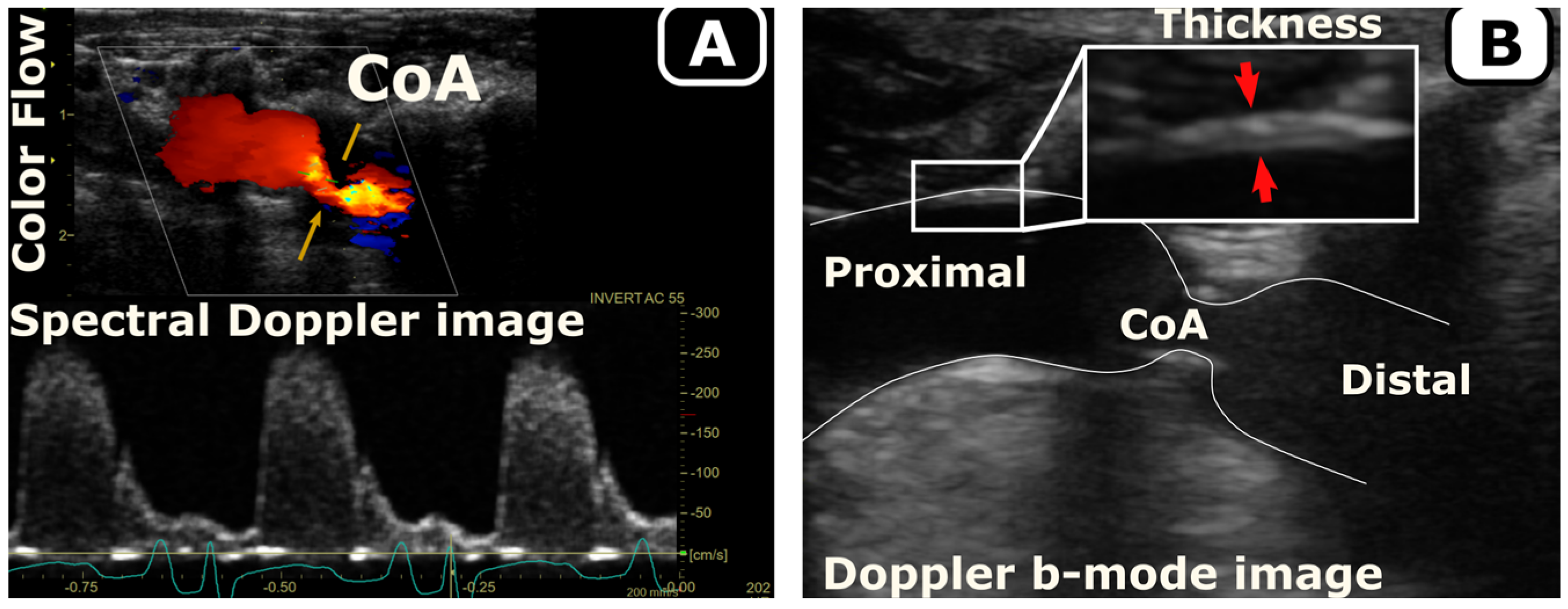 Biomedicines 11 01817 g002 Biomedicines 11 01817 g002