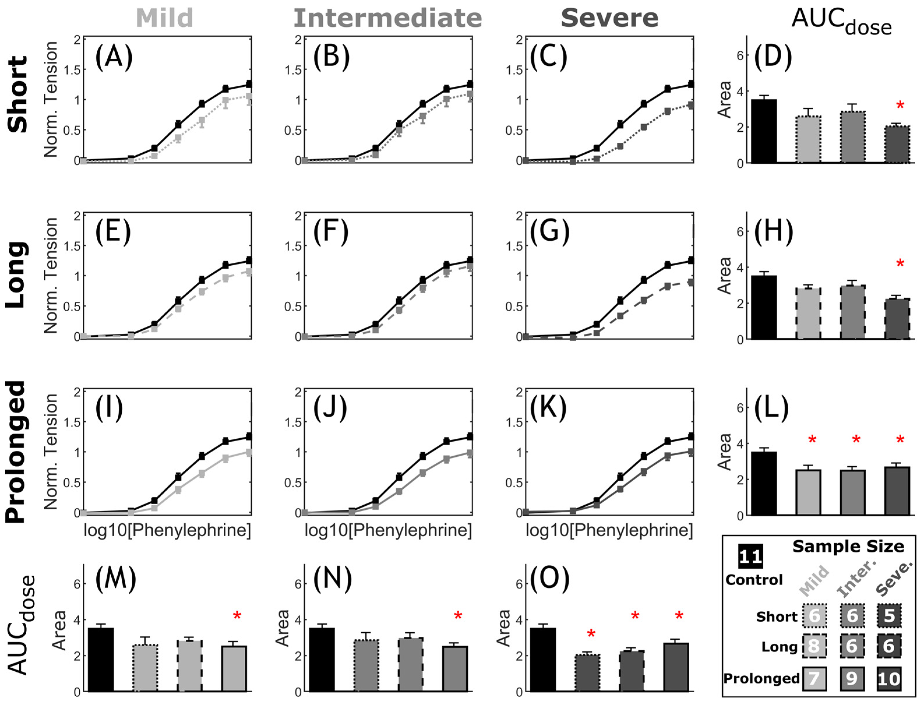 Biomedicines 11 01817 g008 Biomedicines 11 01817 g008