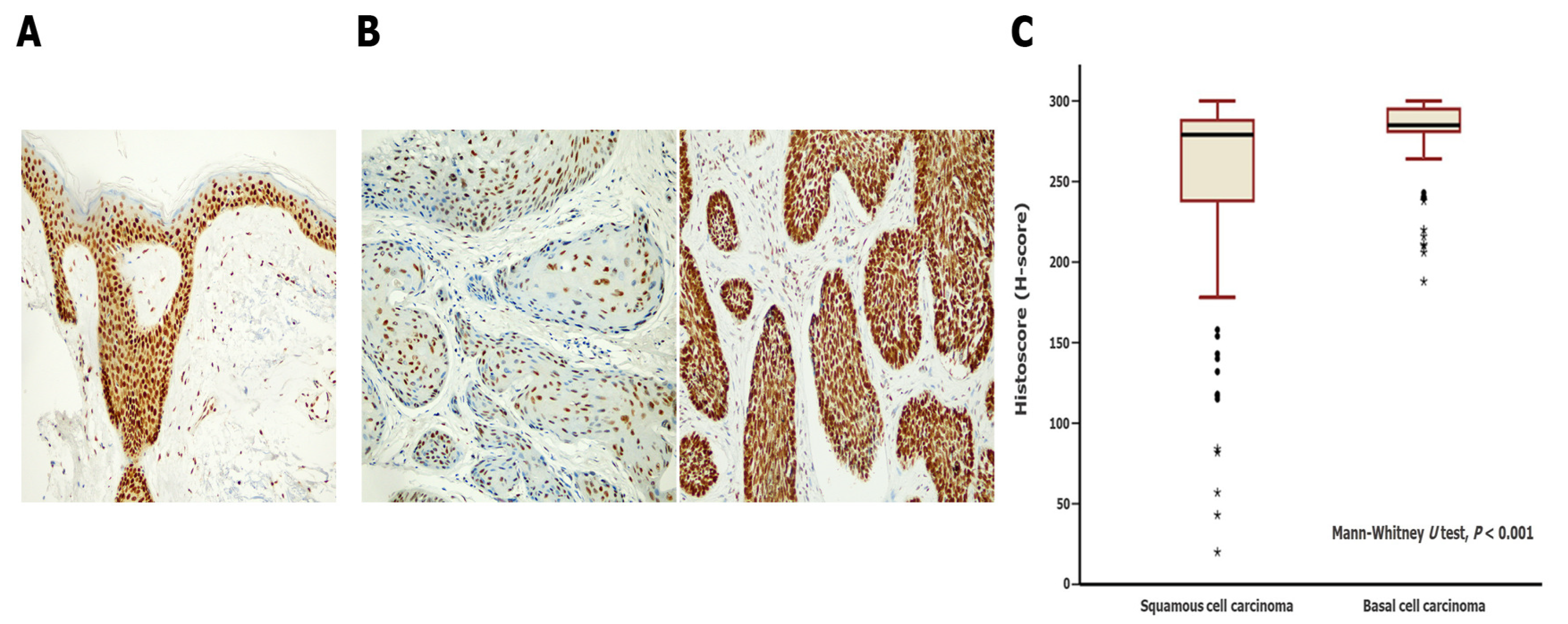 Biomedicines 11 01818 g002 Biomedicines 11 01818 g002