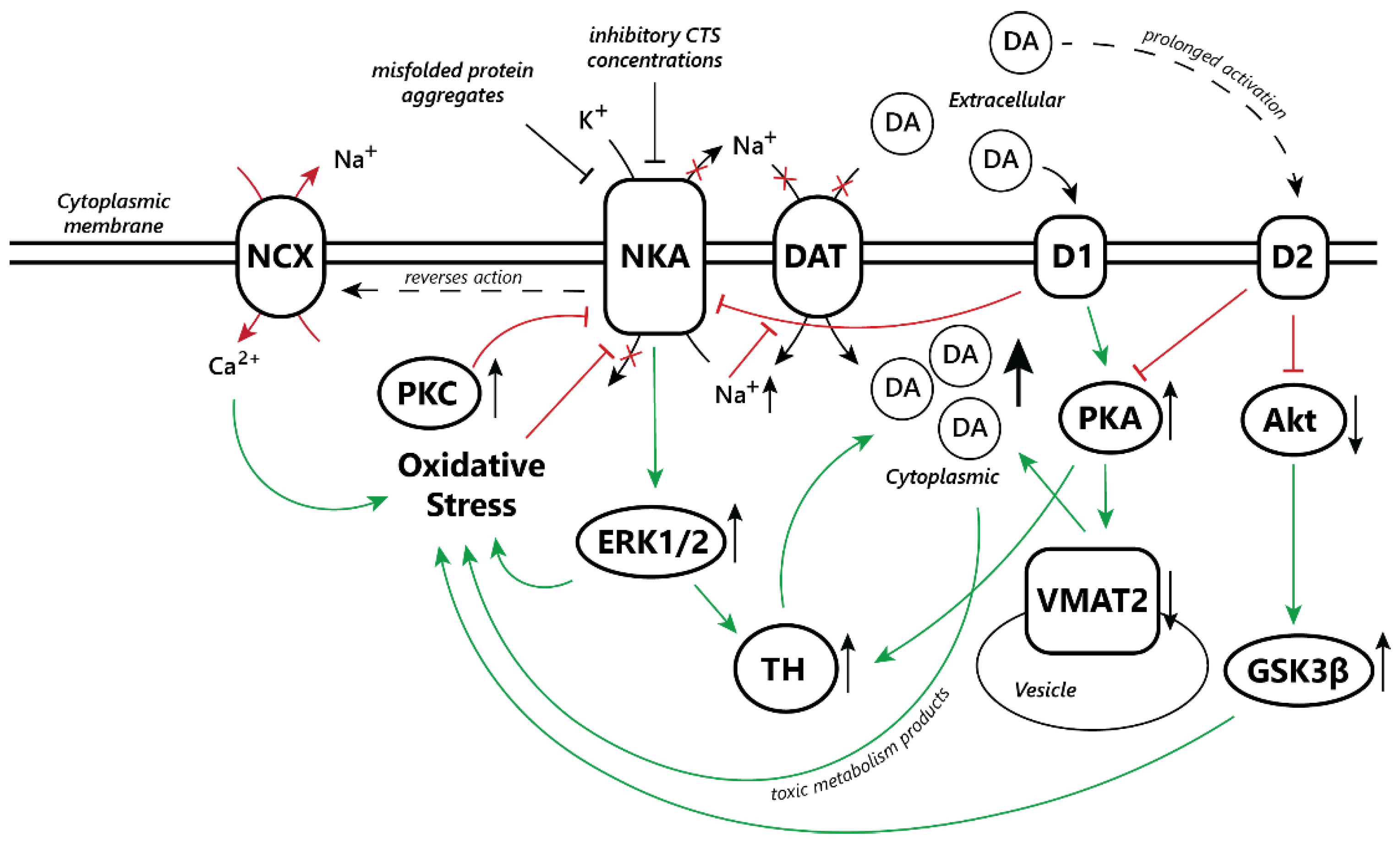 Biomedicines 11 01820 g001 Biomedicines 11 01820 g001