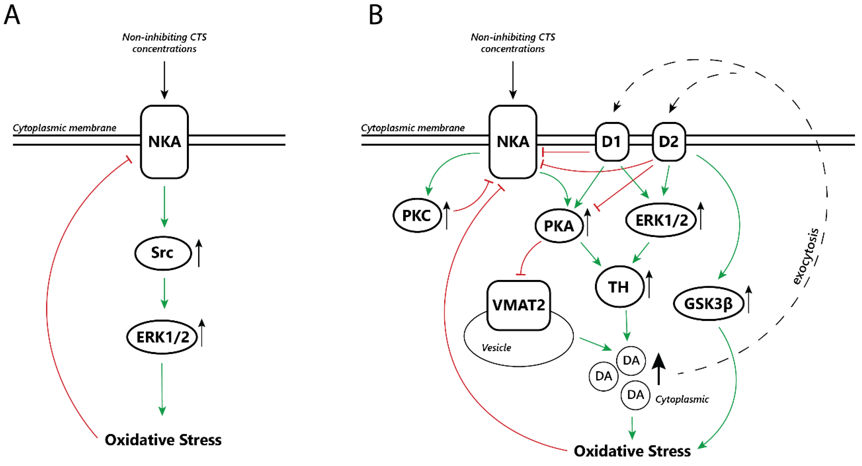 Biomedicines 11 01820 g002 Biomedicines 11 01820 g002