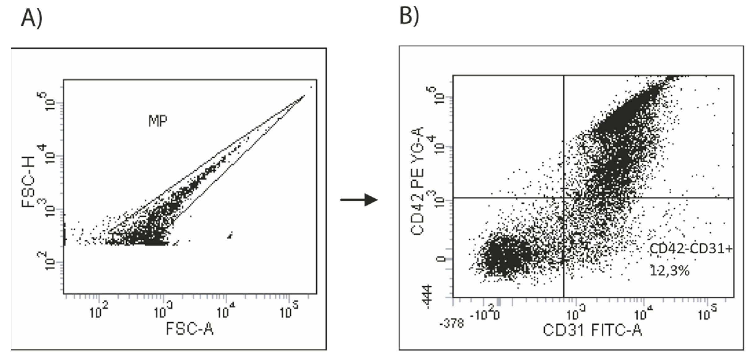 Biomedicines 11 01822 g002 Biomedicines 11 01822 g002