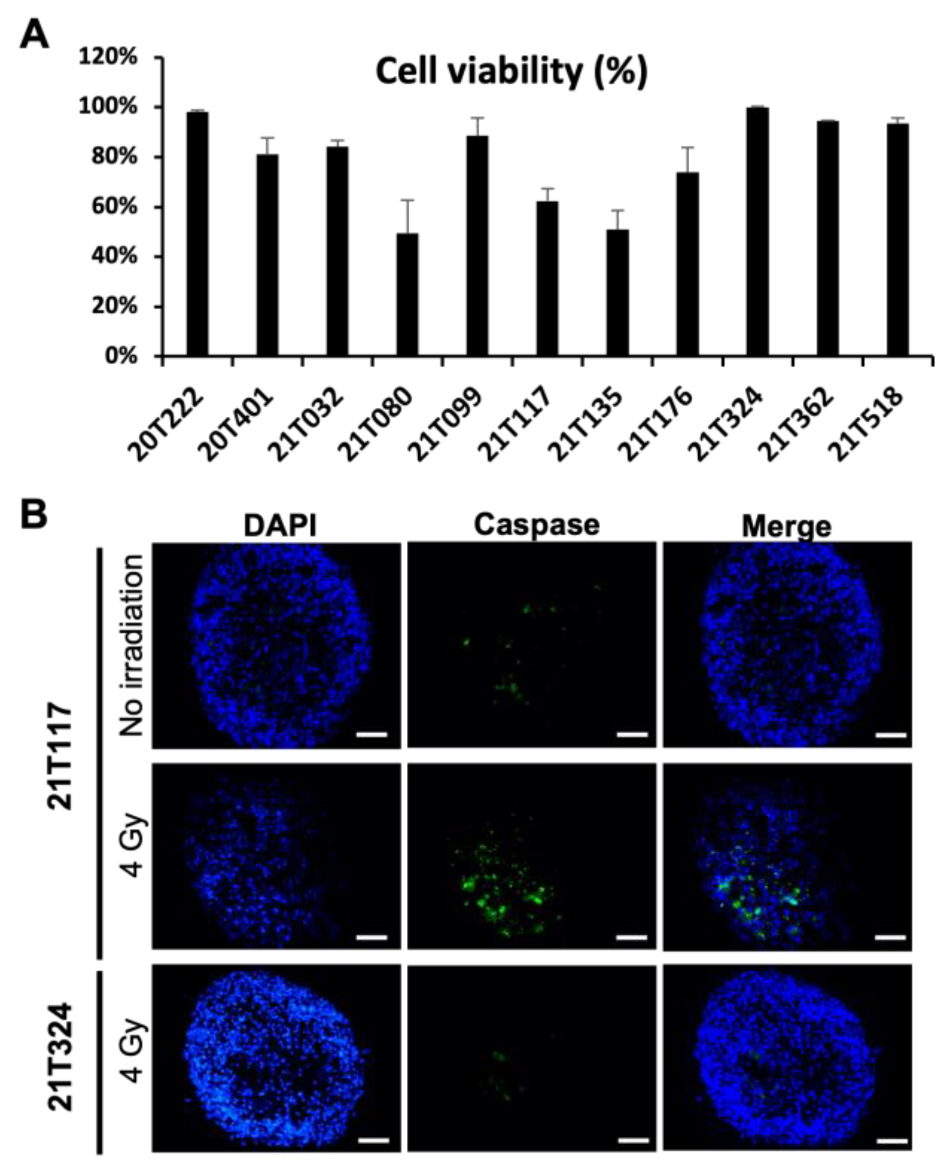 Biomedicines 11 01824 g001 Biomedicines 11 01824 g001
