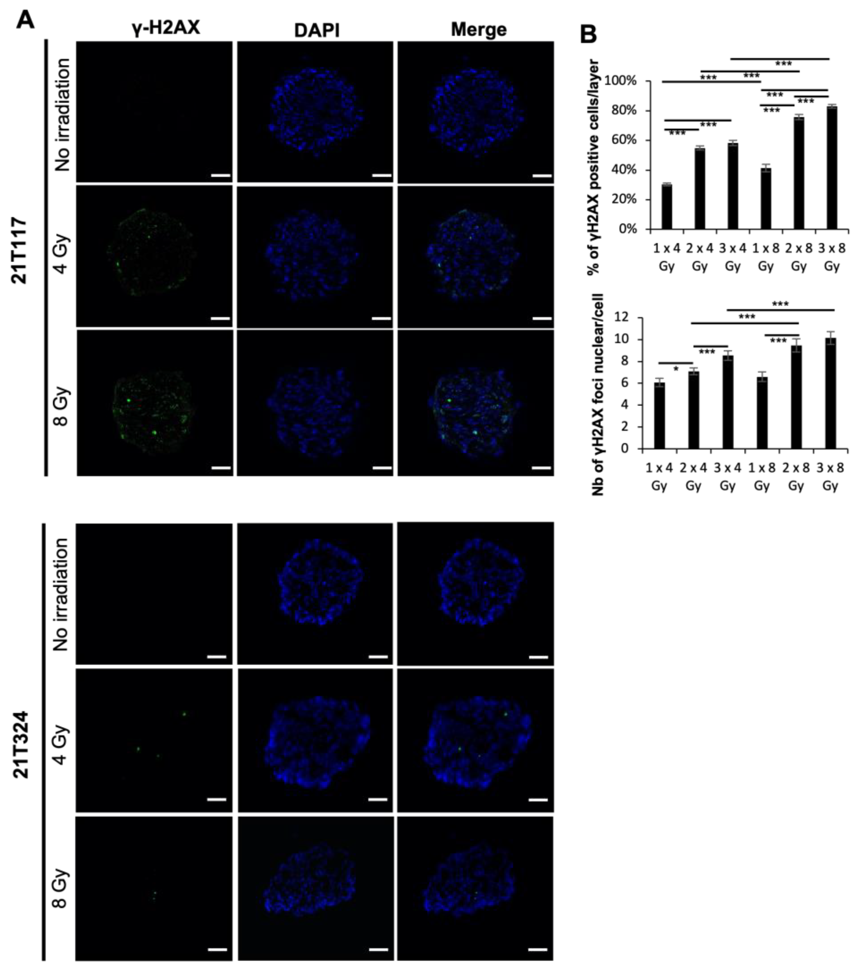 Biomedicines 11 01824 g002 Biomedicines 11 01824 g002