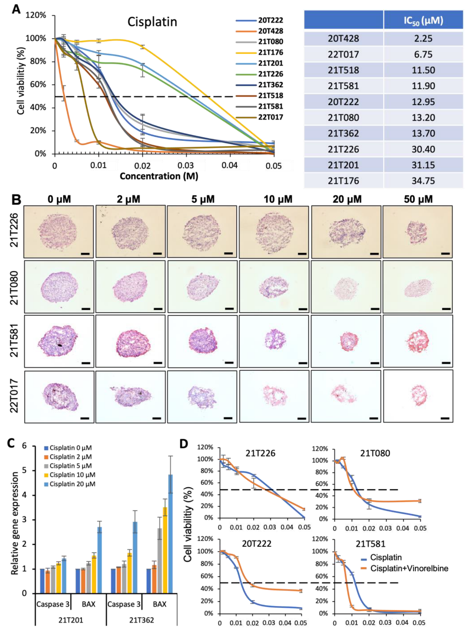 Biomedicines 11 01824 g003 Biomedicines 11 01824 g003