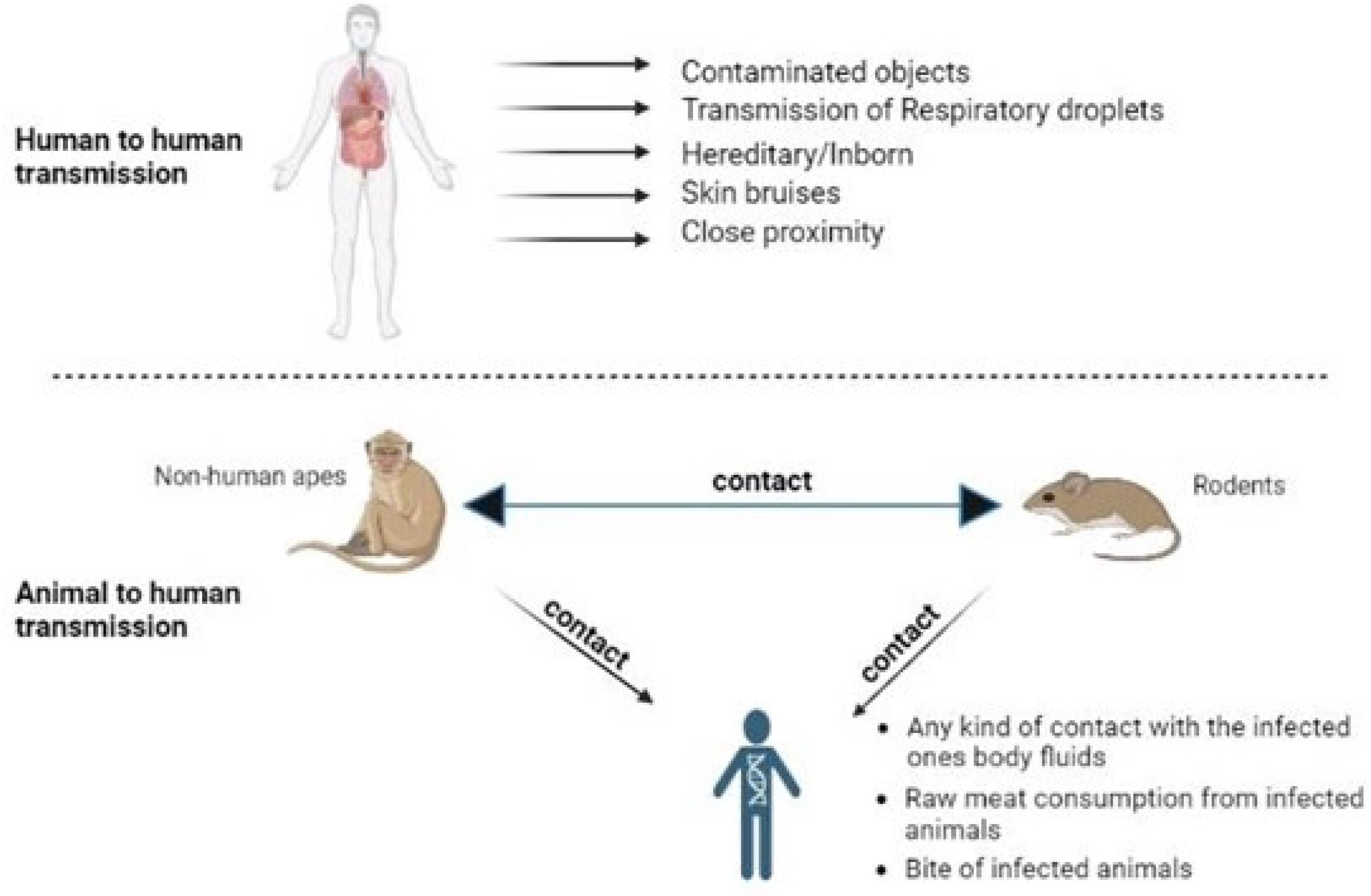 Biomedicines 11 01826 g002 Biomedicines 11 01826 g002