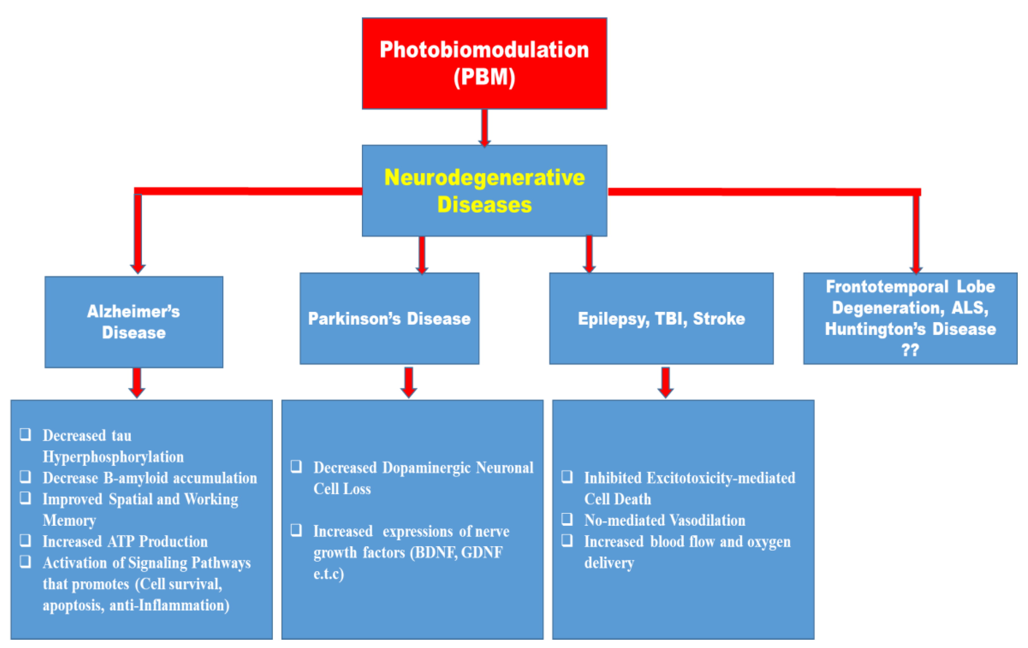 Biomedicines 11 01828 g003
