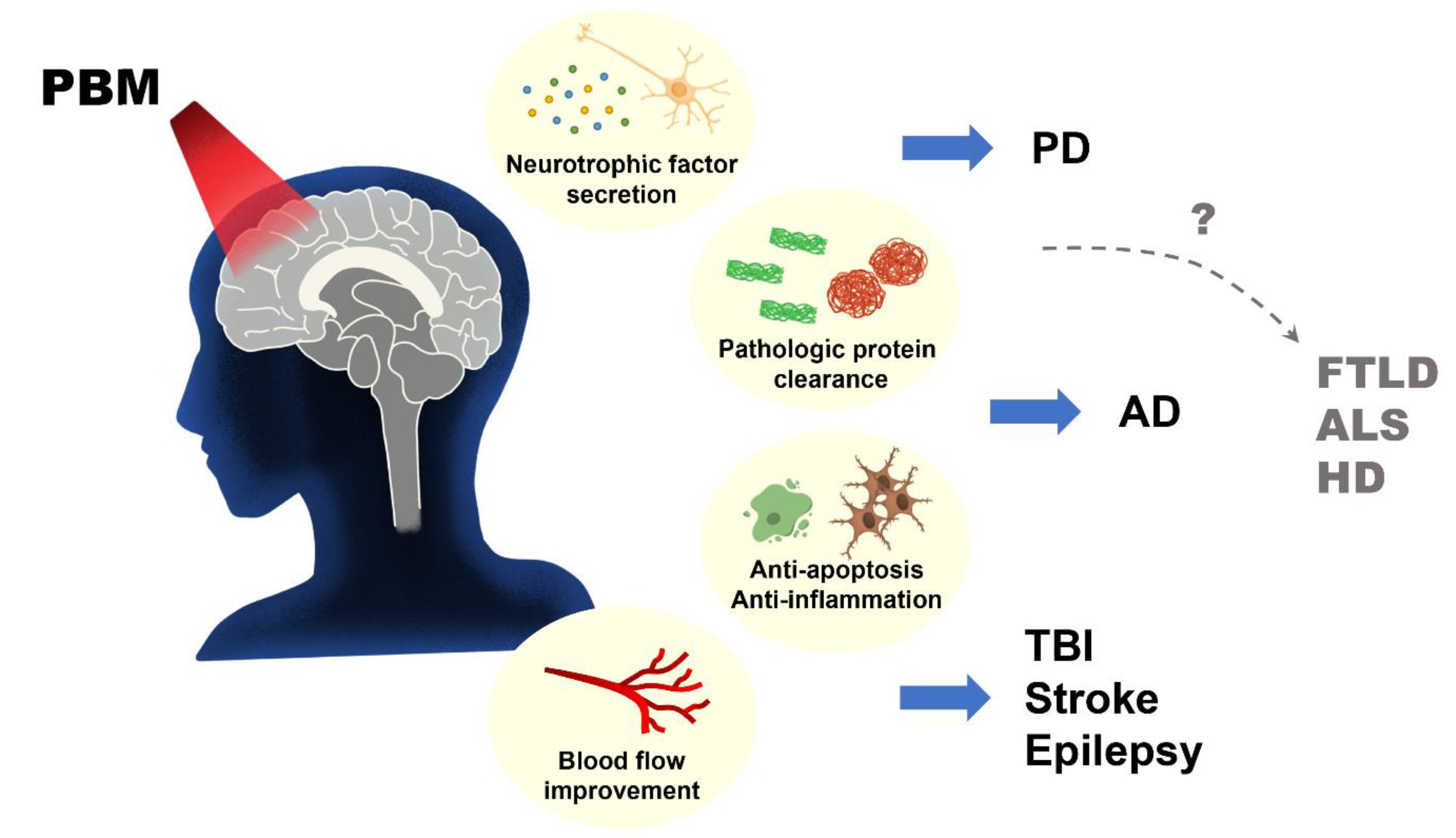 Biomedicines 11 01828 g004