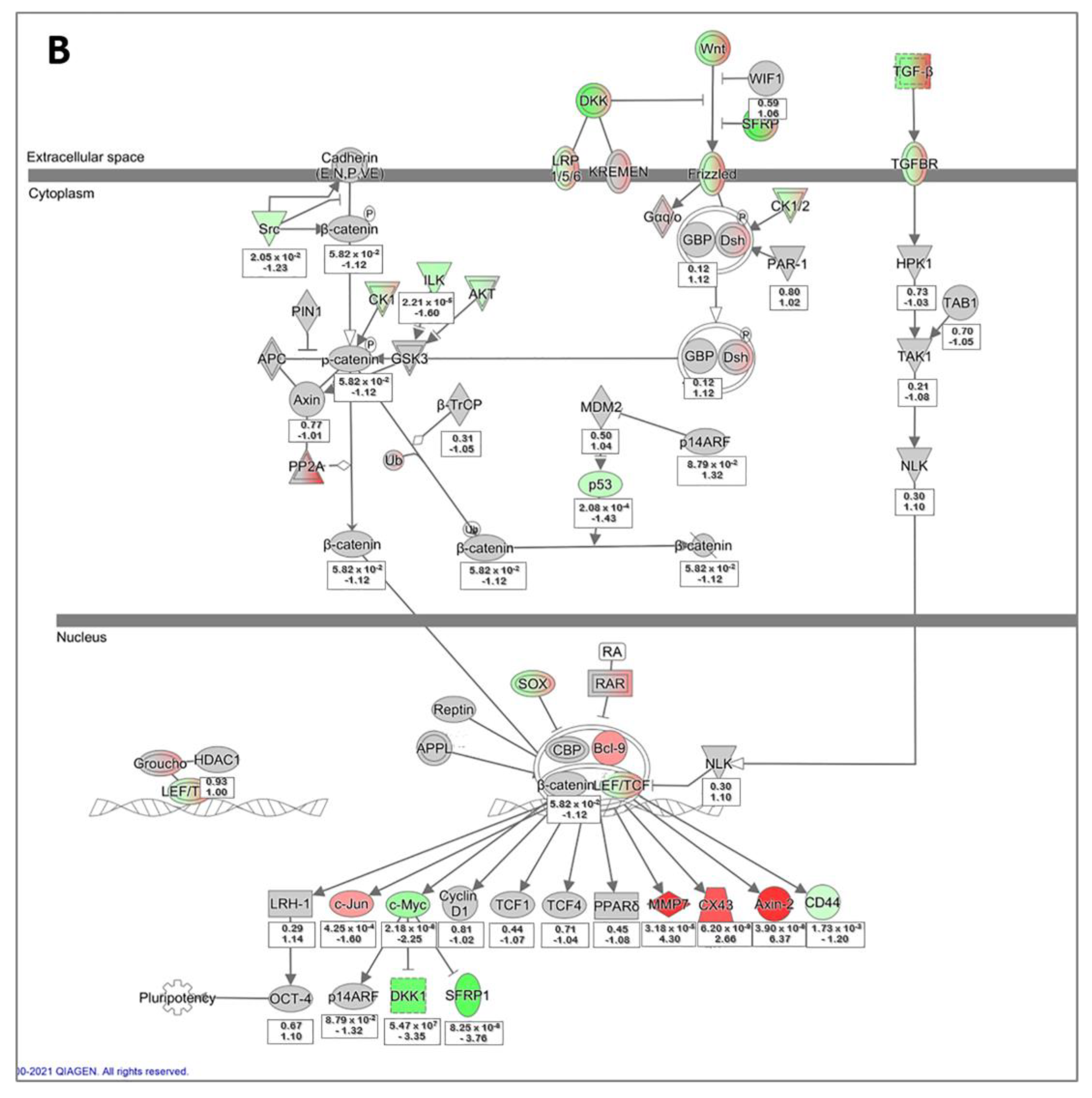 Biomedicines 11 01829 g005b Biomedicines 11 01829 g005b