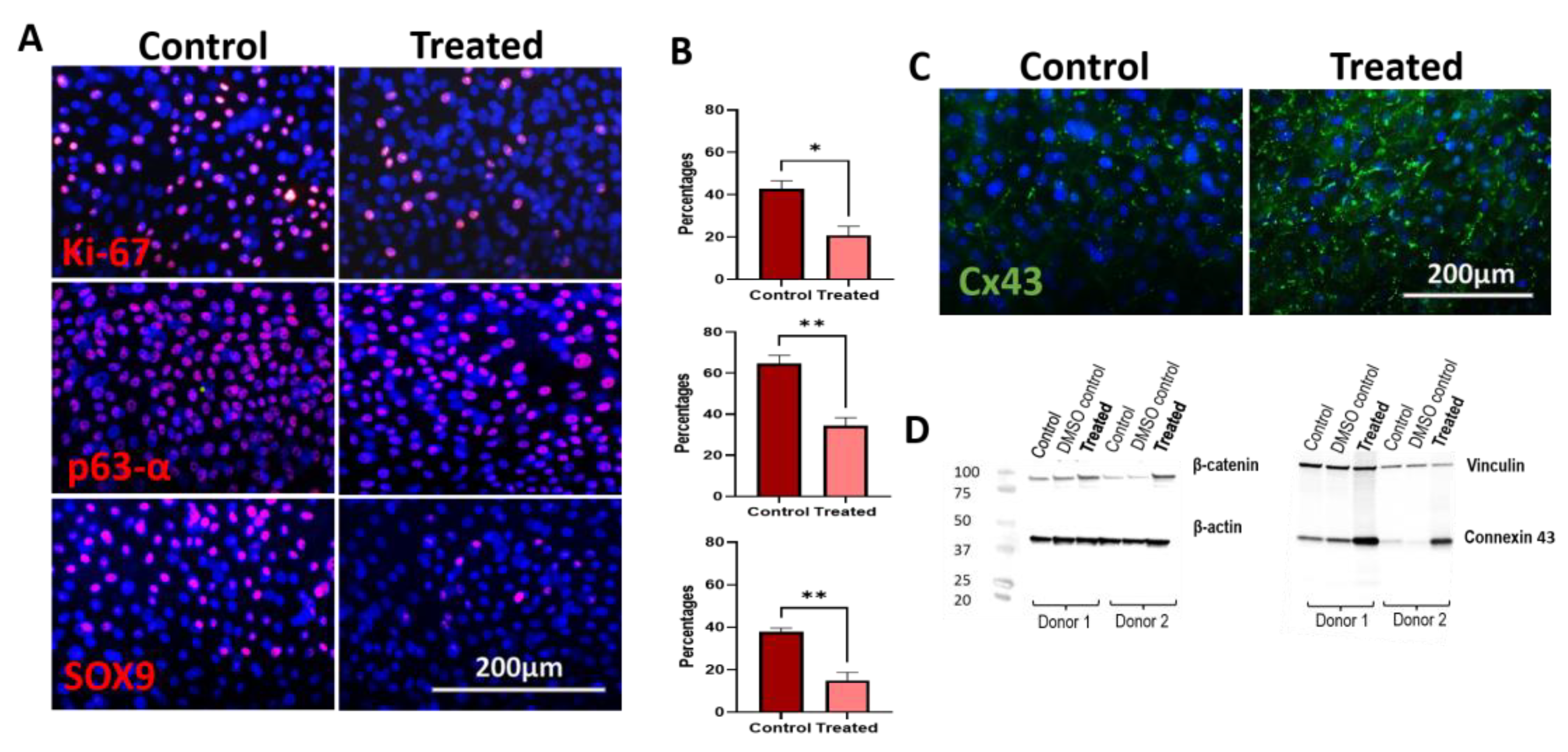 Biomedicines 11 01829 g006 Biomedicines 11 01829 g006