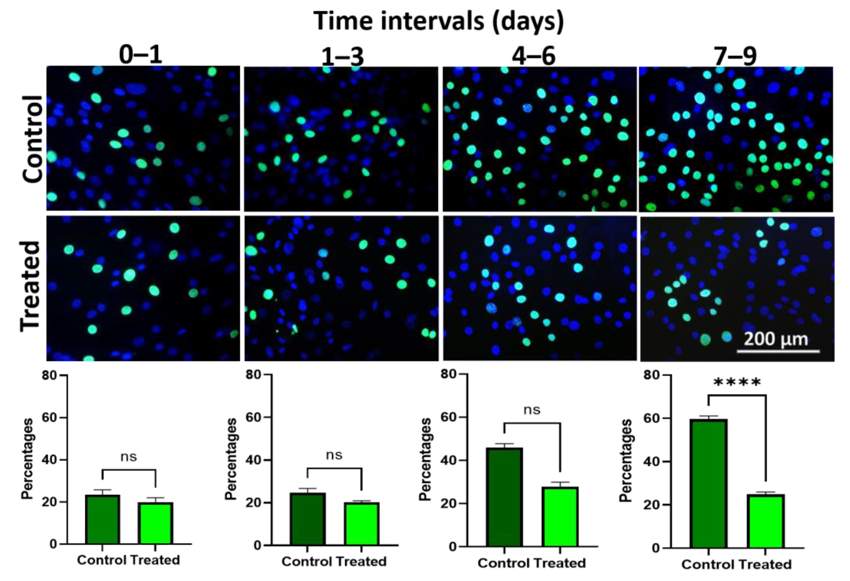 Biomedicines 11 01829 g007 Biomedicines 11 01829 g007